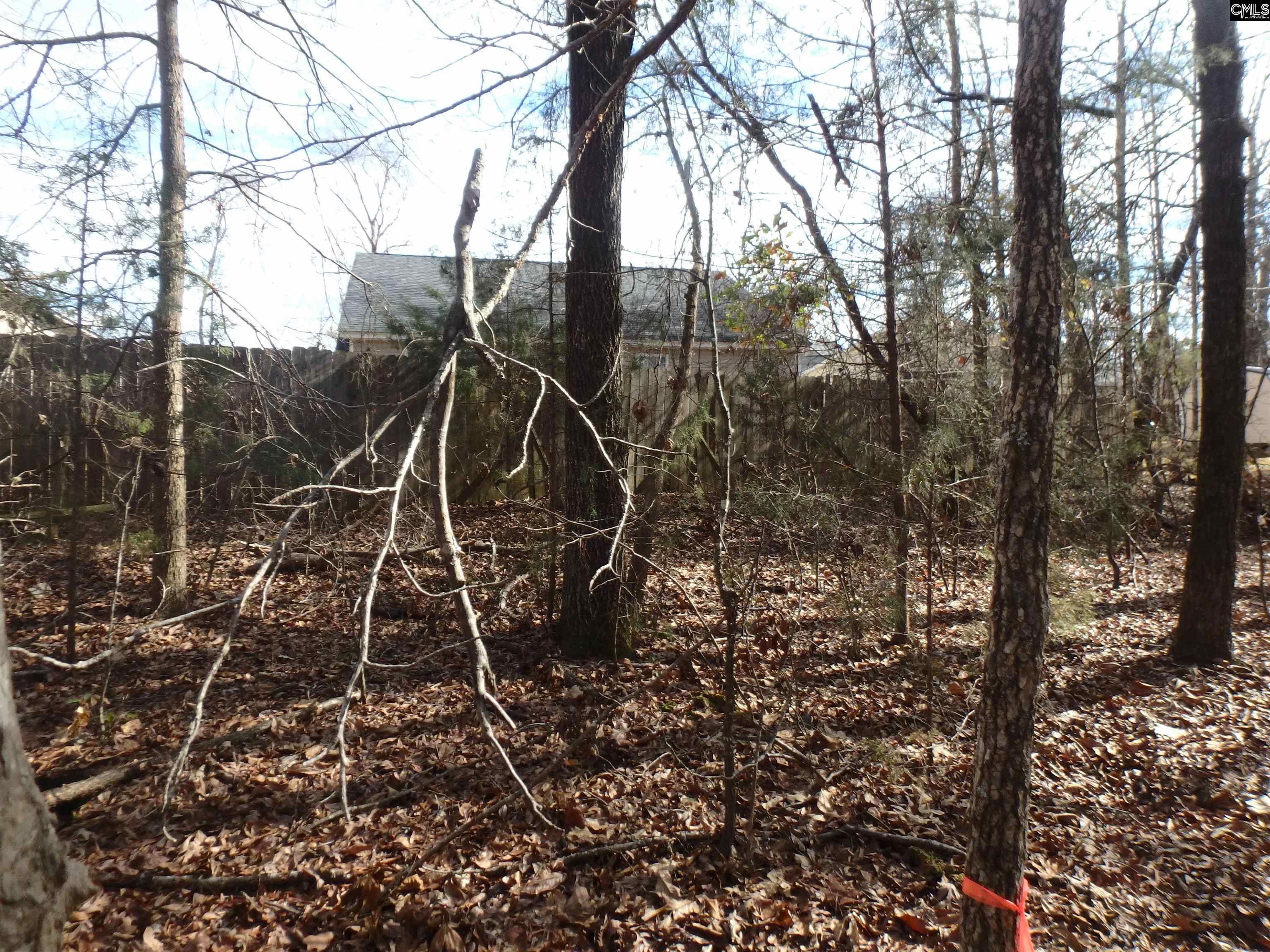 Amicks Ferry Road Chapin, SC 29036