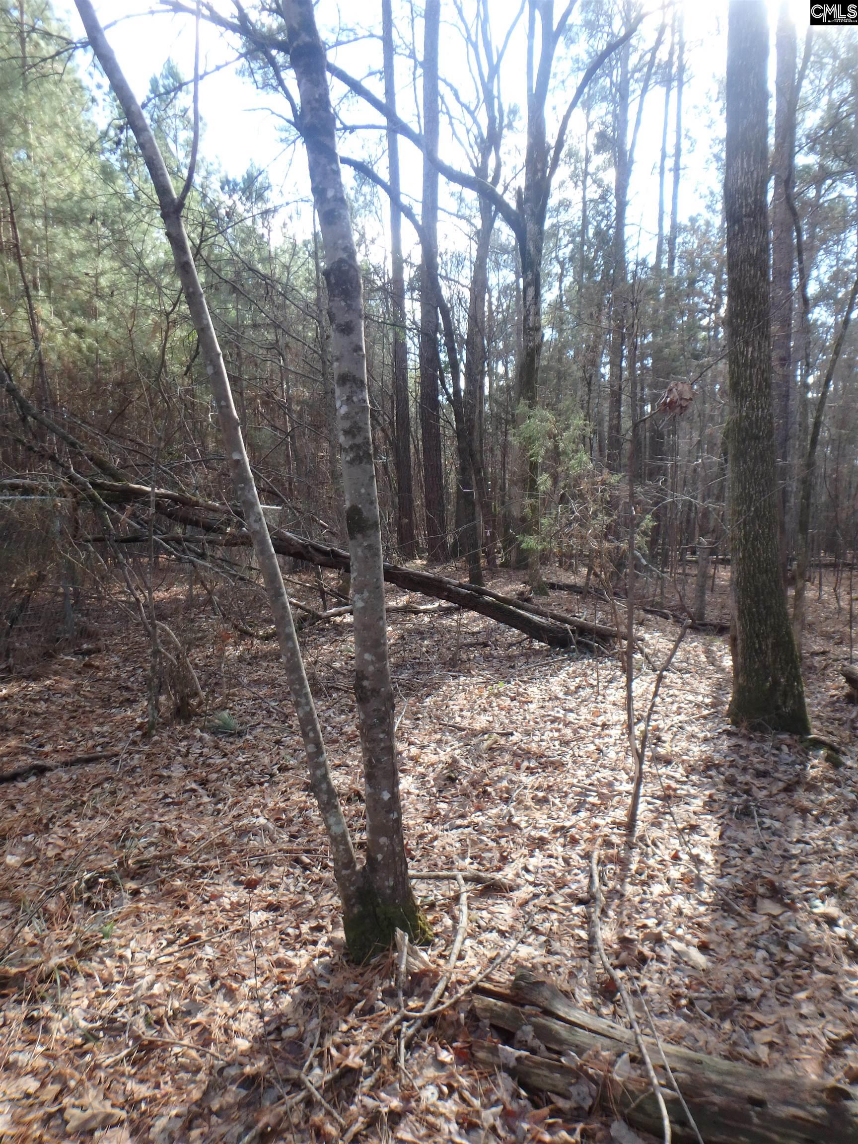 Amicks Ferry Road Chapin, SC 29036