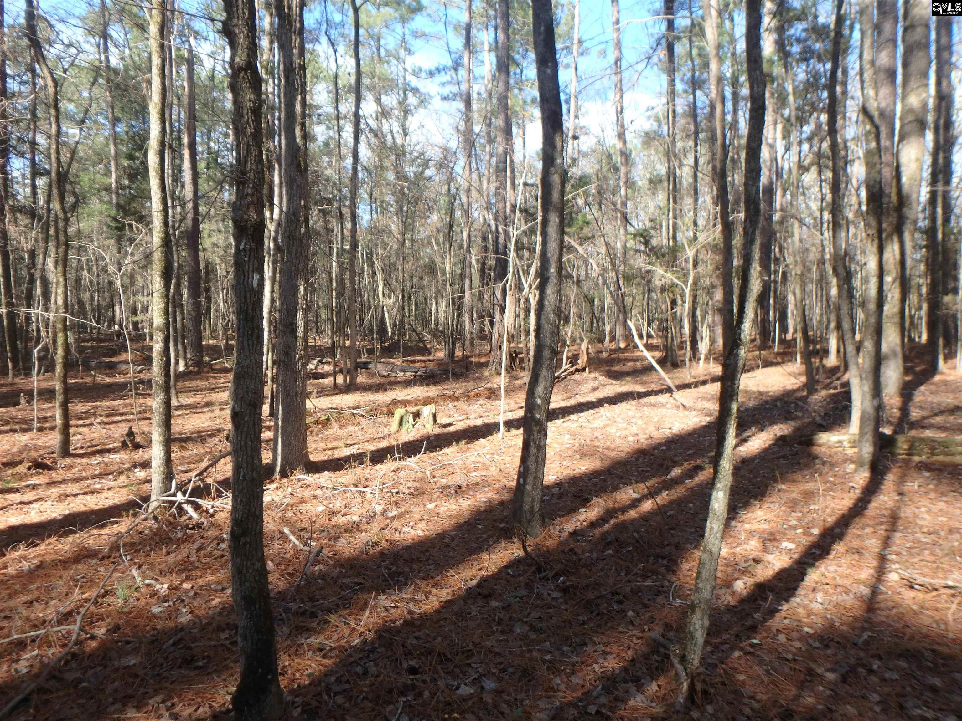 Amicks Ferry Road Chapin, SC 29036