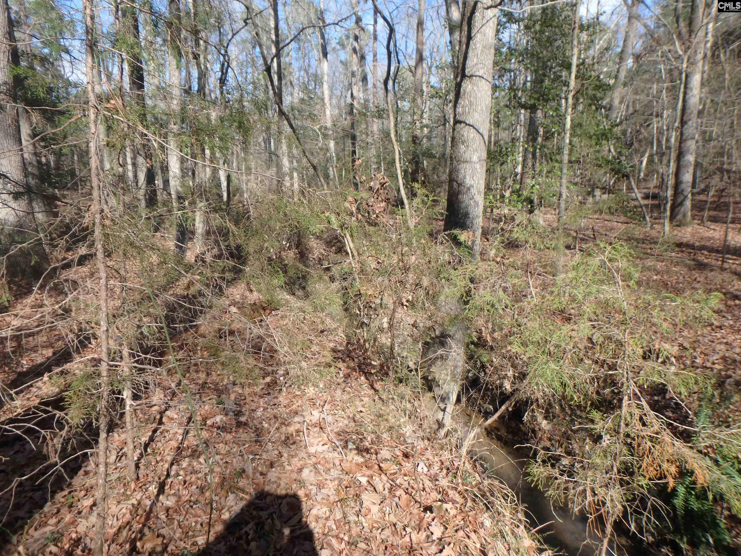 Amicks Ferry Road Chapin, SC 29036