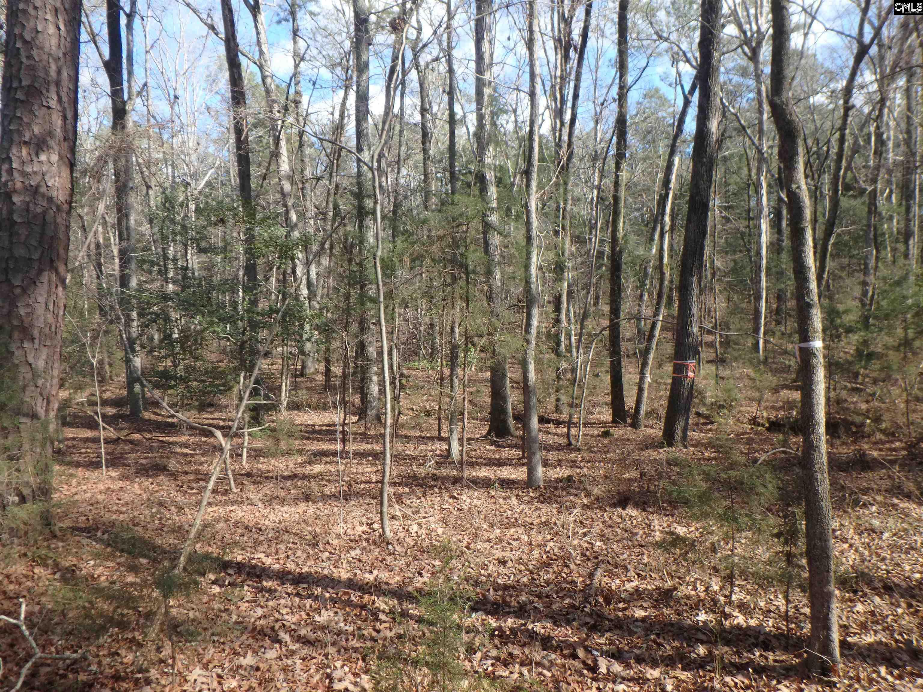 Amicks Ferry Road Chapin, SC 29036