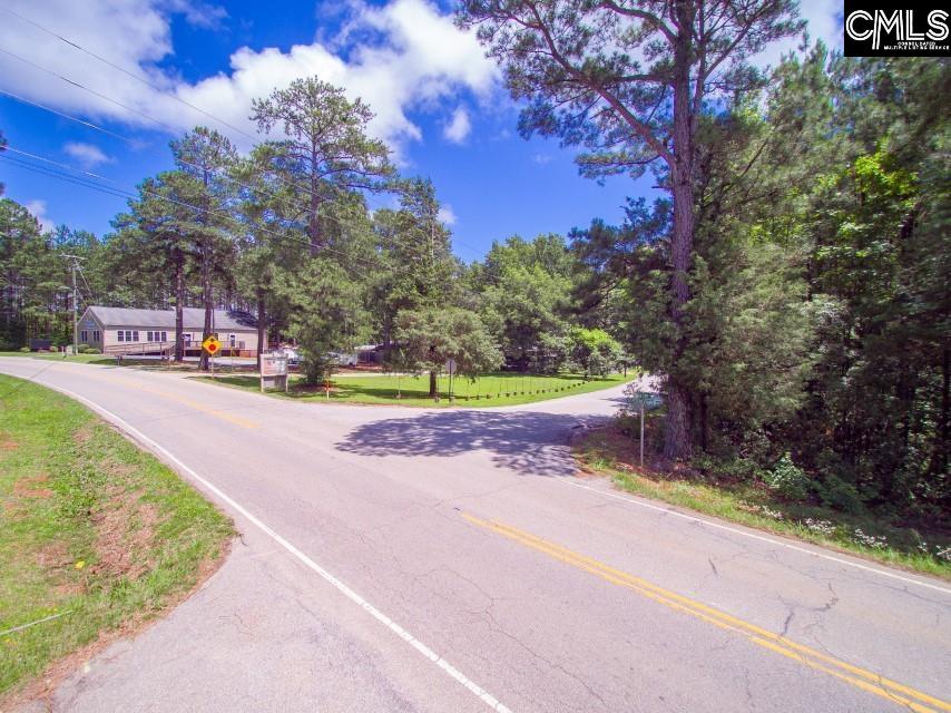 1-B Saint Peters Church Road Chapin, SC 29036