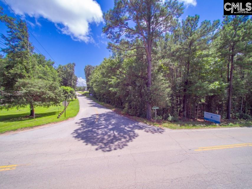 1-B Saint Peters Church Road Chapin, SC 29036