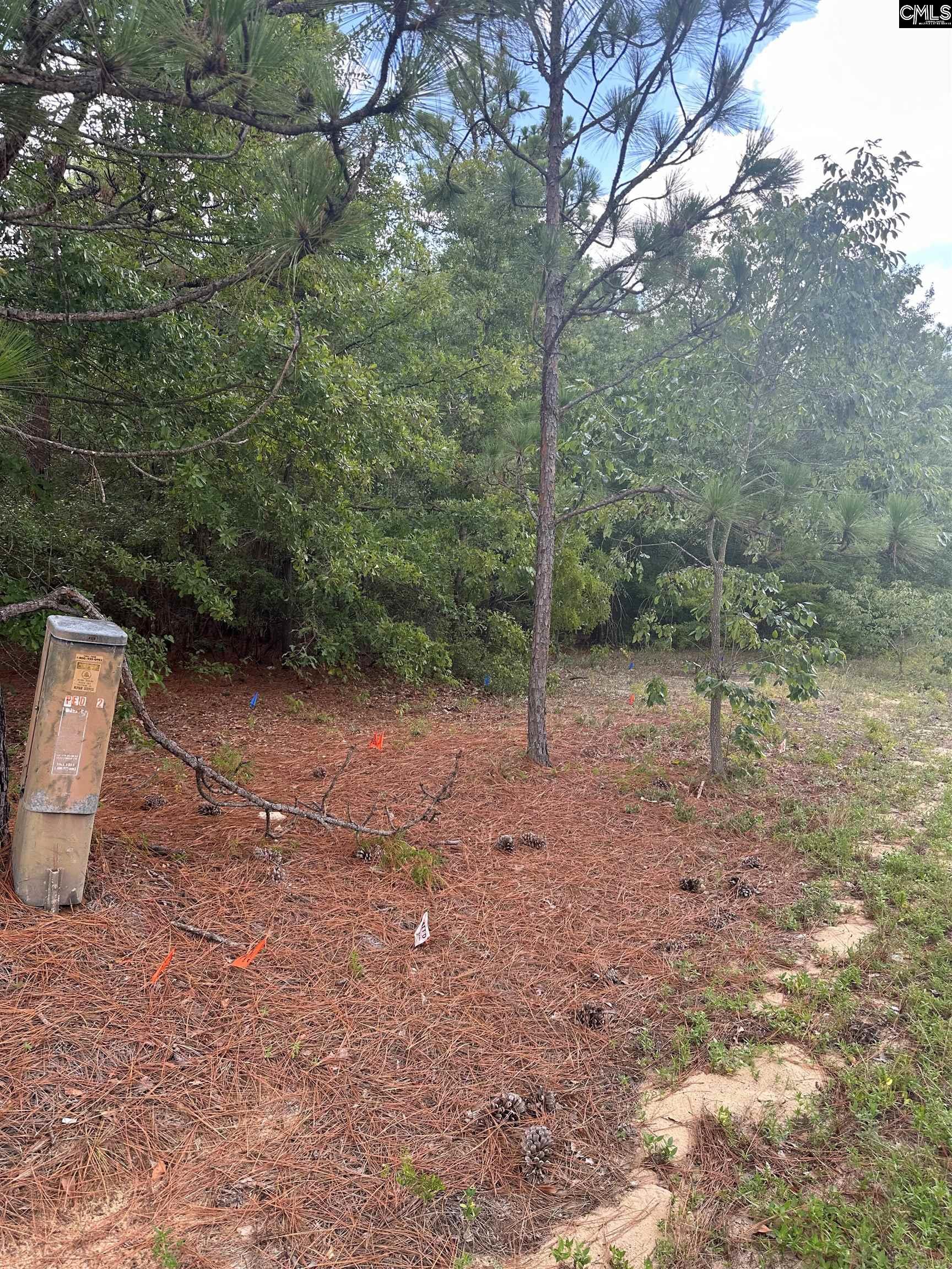 1148 Hwy1 South Lugoff, SC 29078