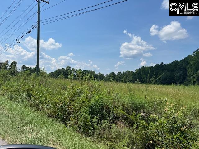 711 Longtown Columbia, SC 29229