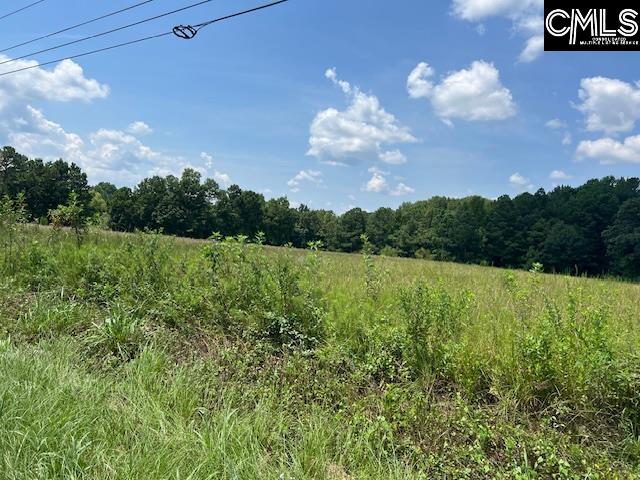 711 Longtown Columbia, SC 29229