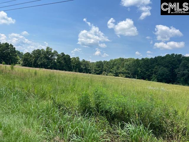 711 Longtown Columbia, SC 29229