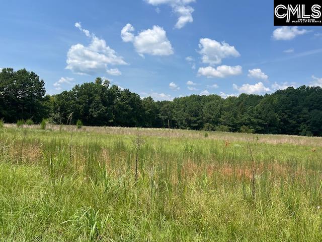 711 Longtown Columbia, SC 29229