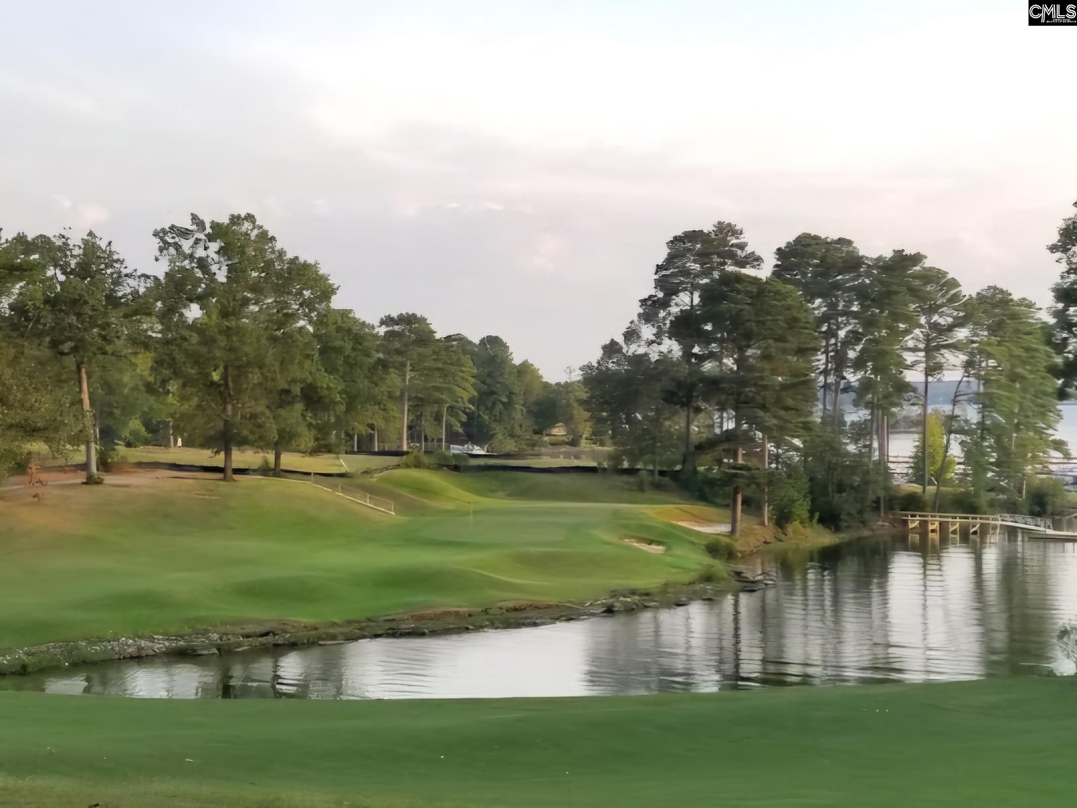 520 Wateroak Trail UNIT #5 Chapin, SC 29036
