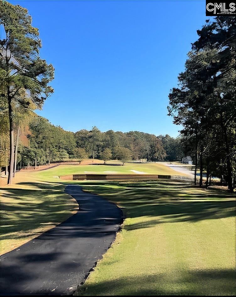 520 Wateroak Trail UNIT #5 Chapin, SC 29036