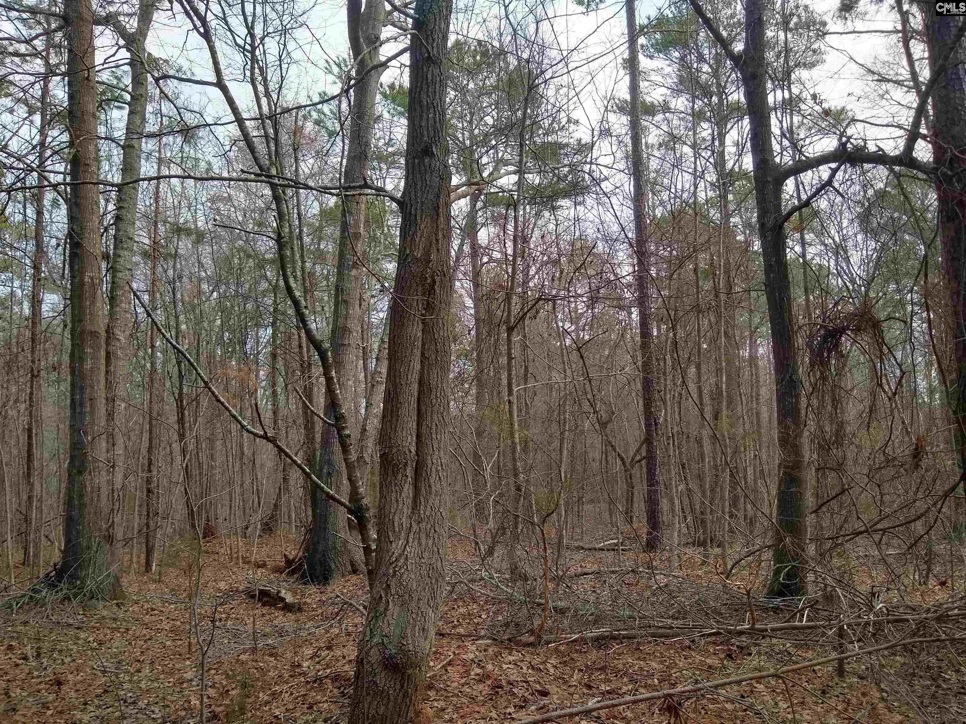 0 321 Highway Winnsboro, SC 29180