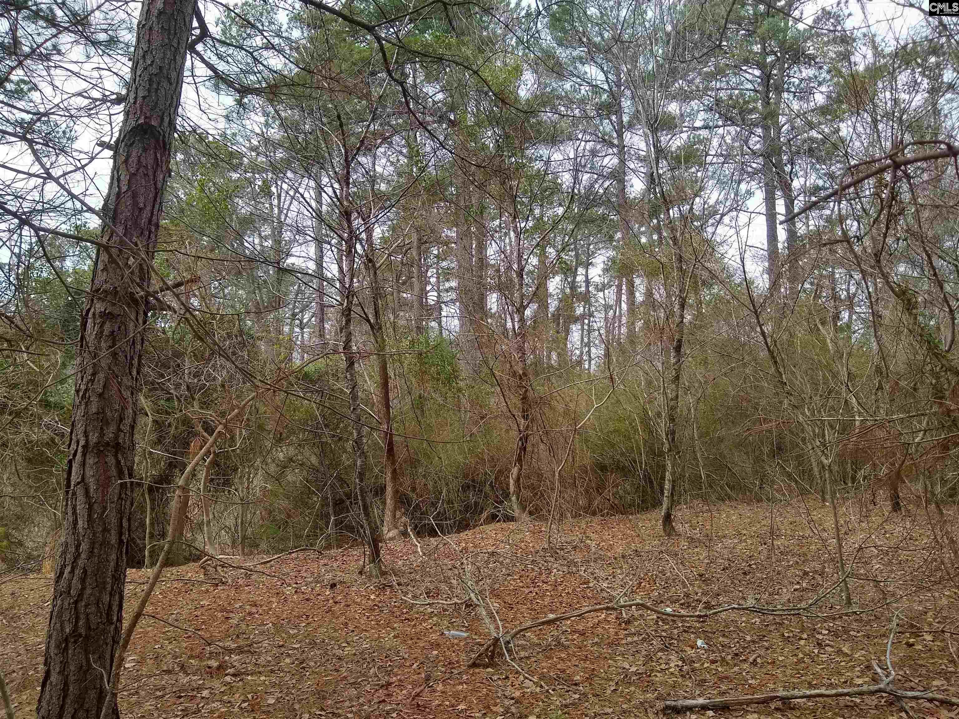 0 321 Highway Winnsboro, SC 29180