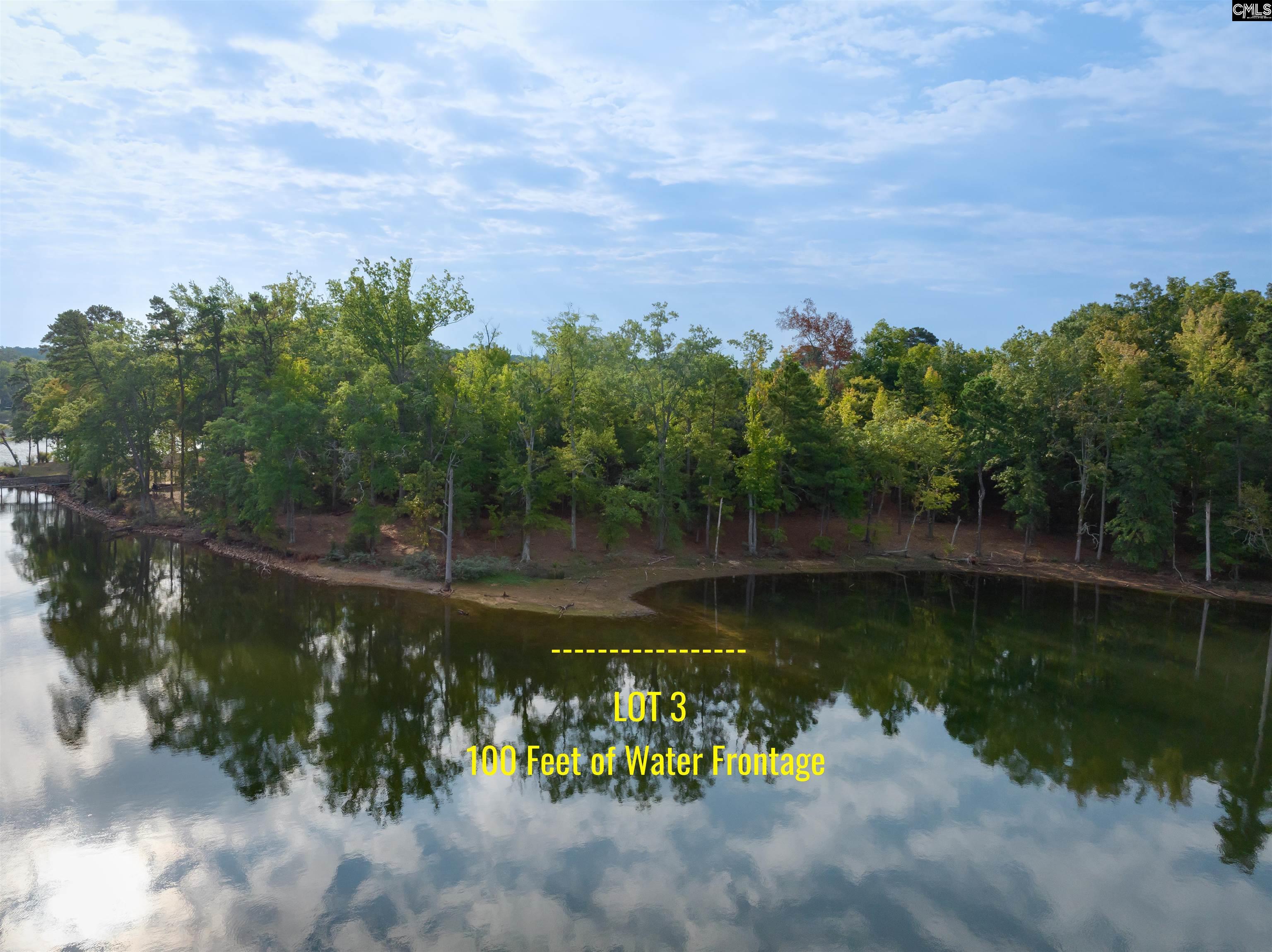 156 Spence Shore Court UNIT #3 Lexington, SC 29072