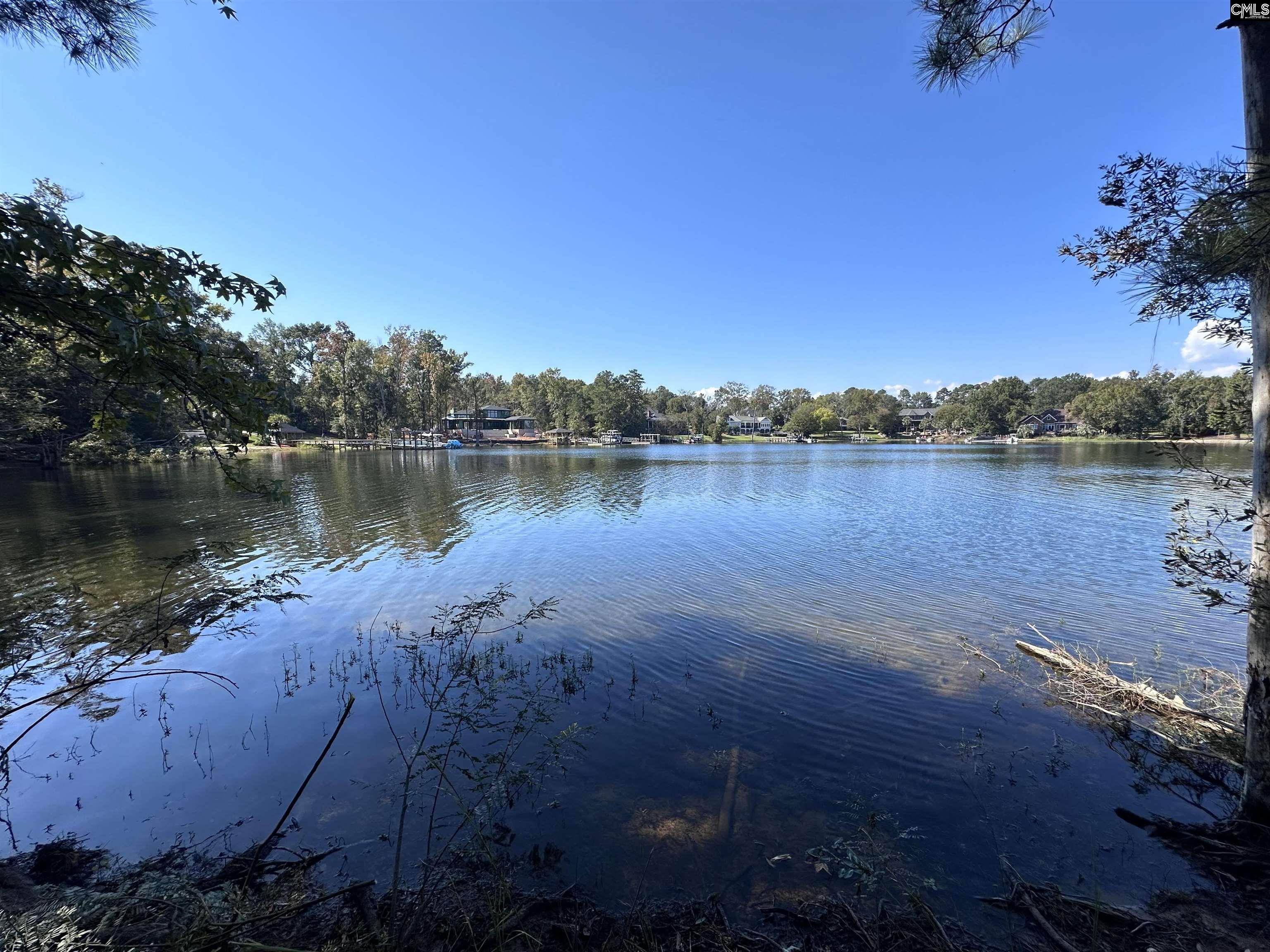 156 Spence Shore Court UNIT #3 Lexington, SC 29072