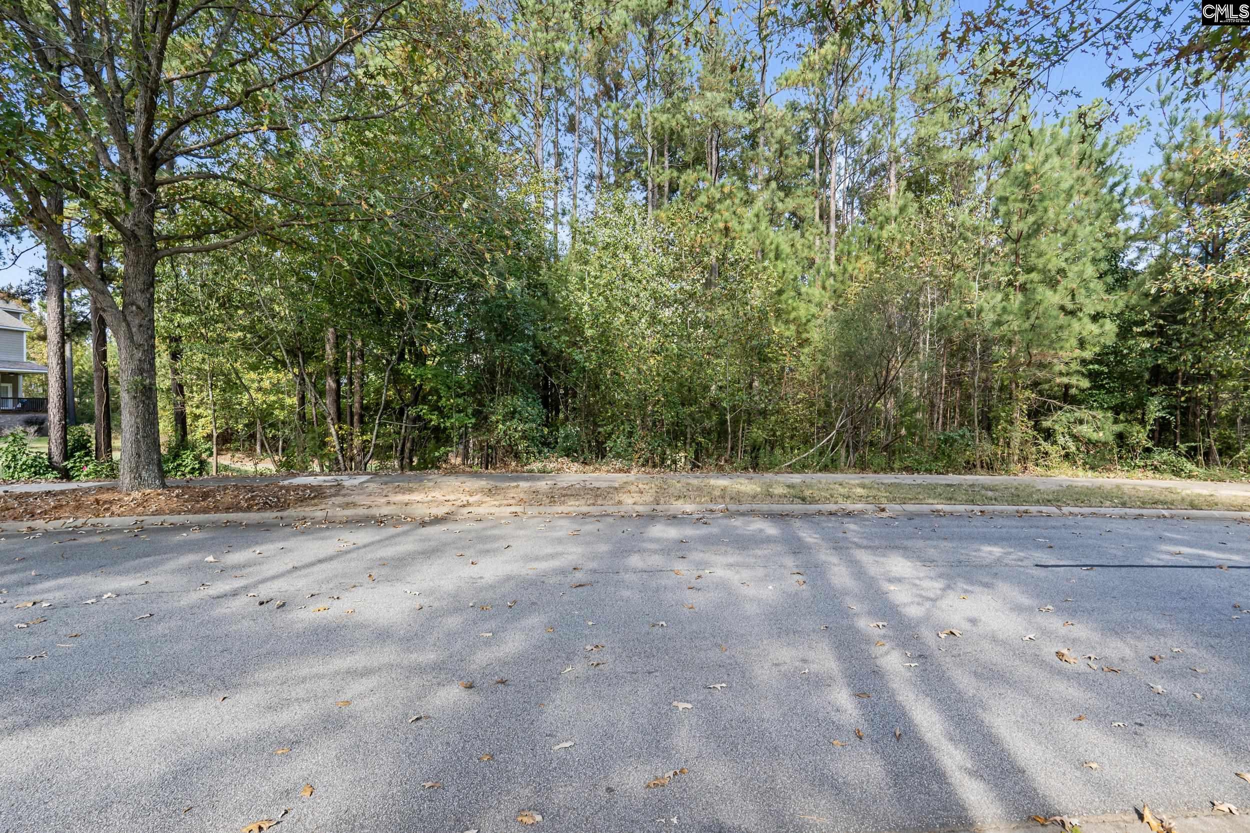 245 Woodlander Drive Blythewood, SC 29016
