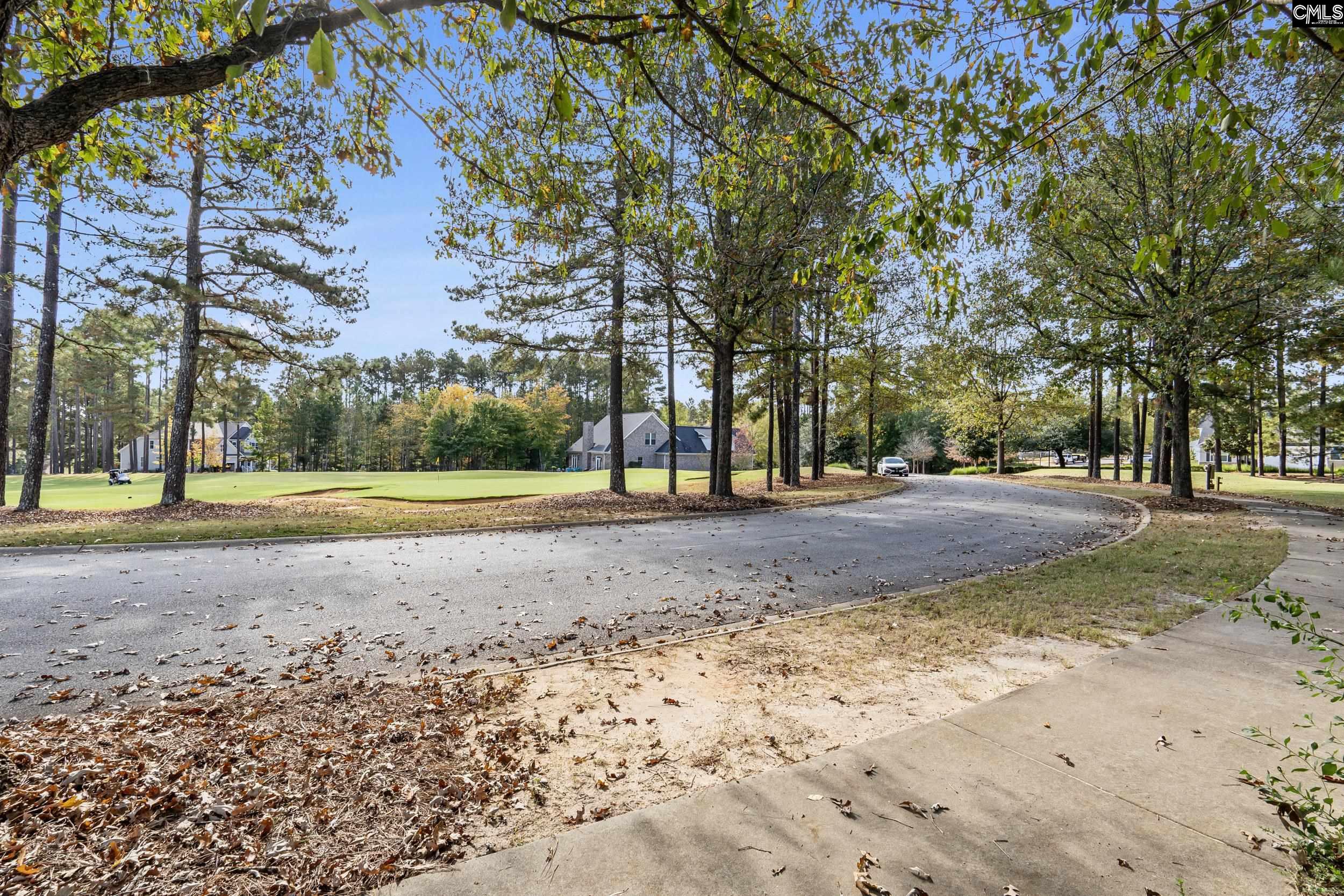 245 Woodlander Drive Blythewood, SC 29016