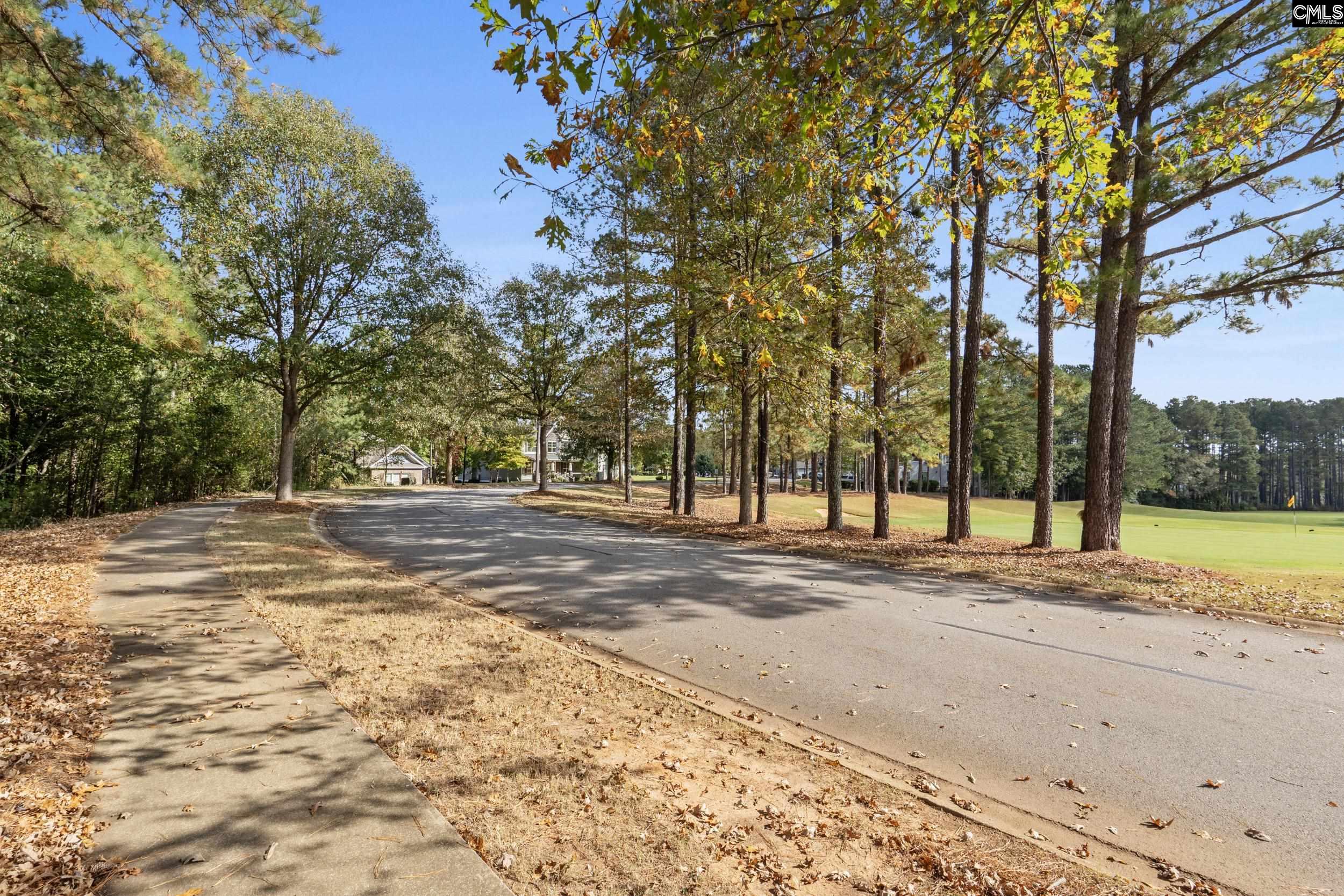 245 Woodlander Drive Blythewood, SC 29016