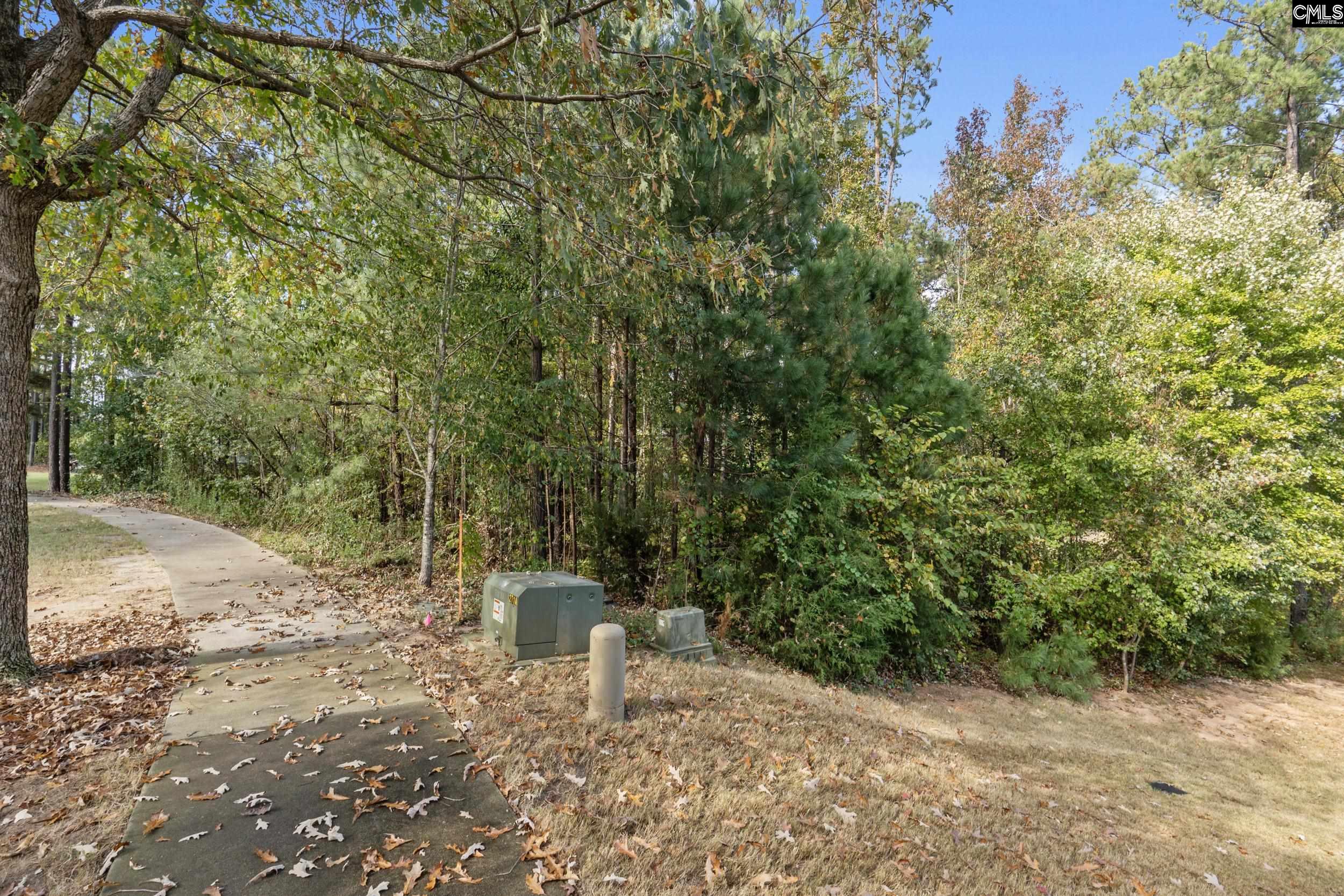 245 Woodlander Drive Blythewood, SC 29016