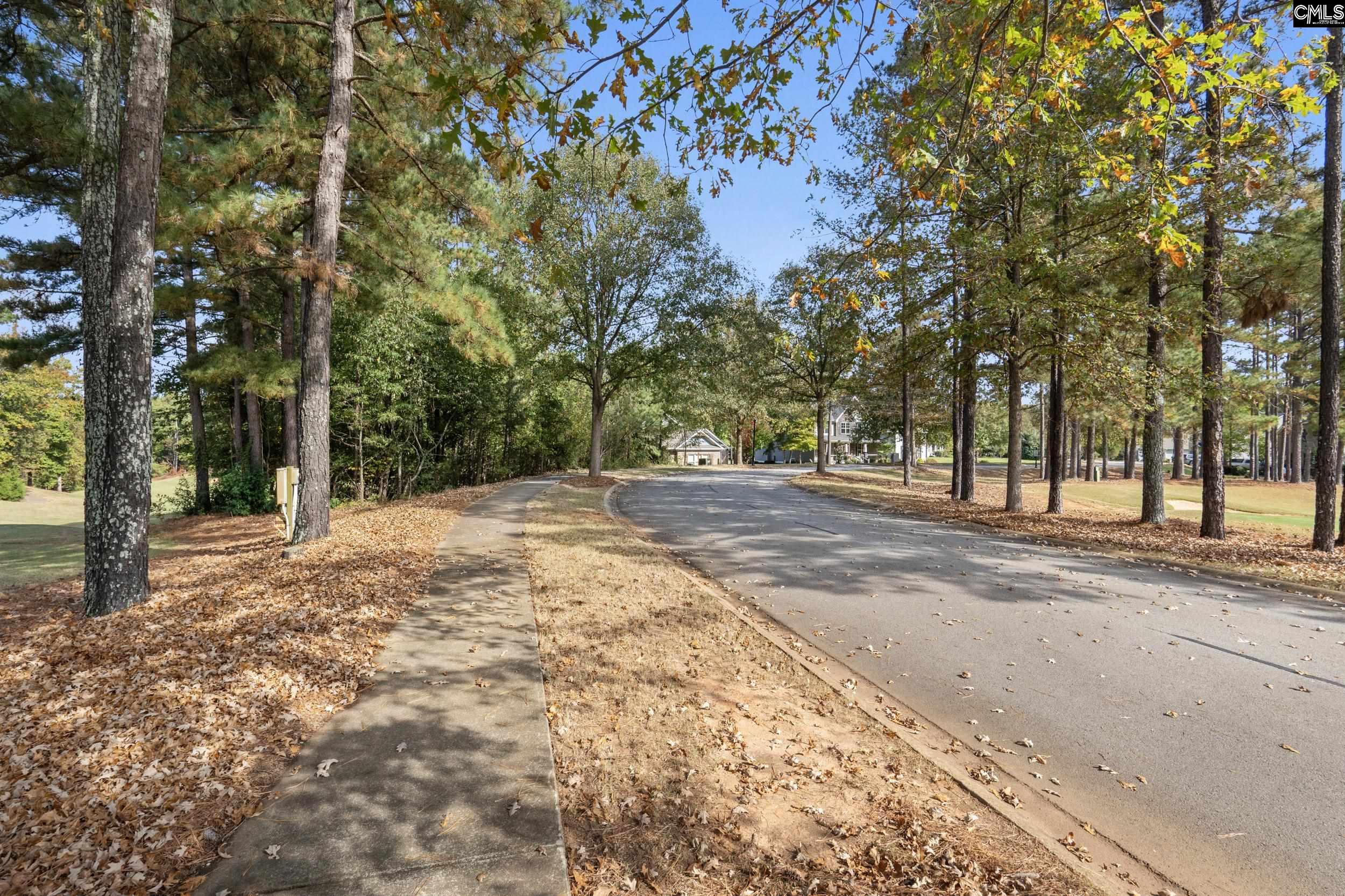 245 Woodlander Drive Blythewood, SC 29016