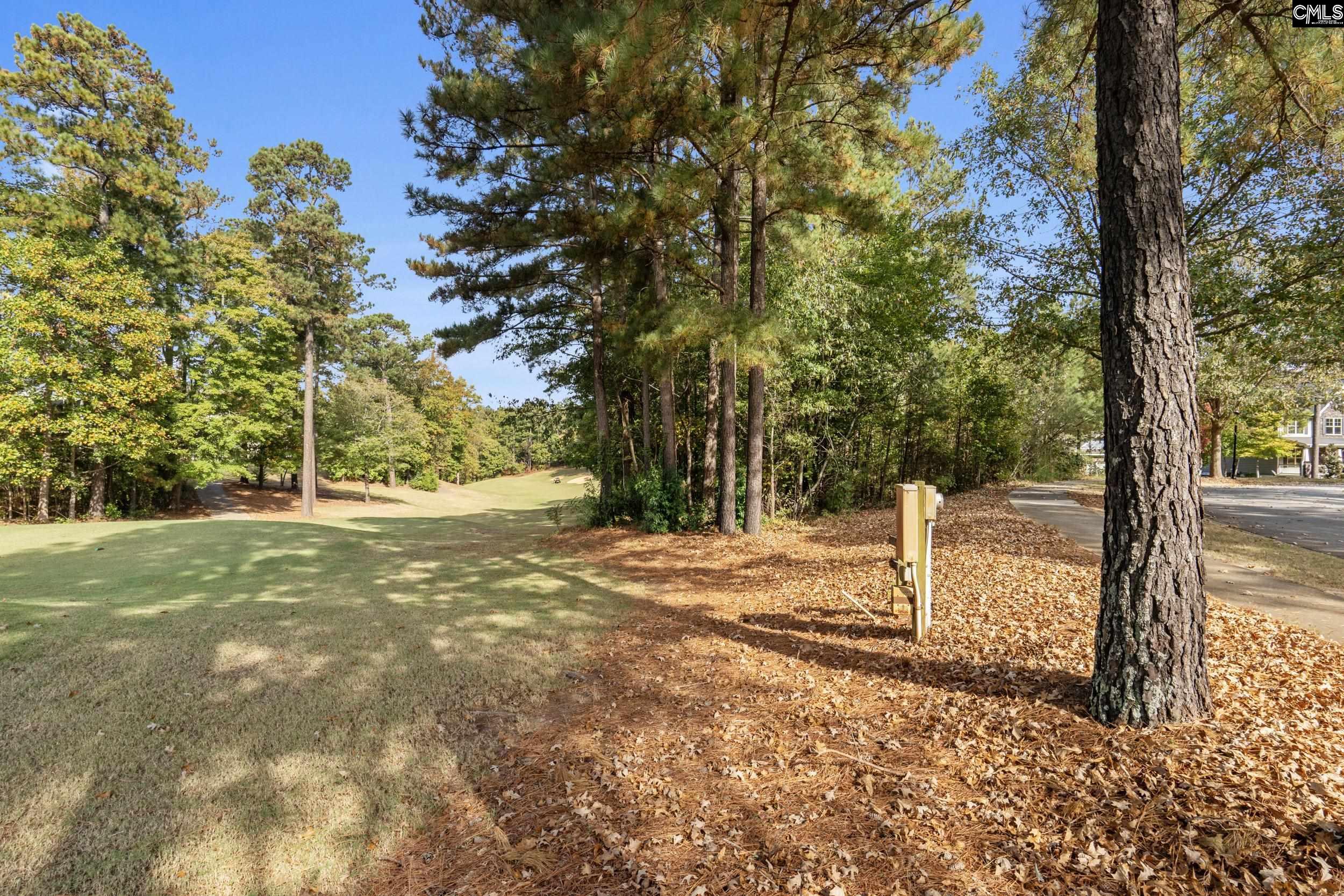 245 Woodlander Drive Blythewood, SC 29016