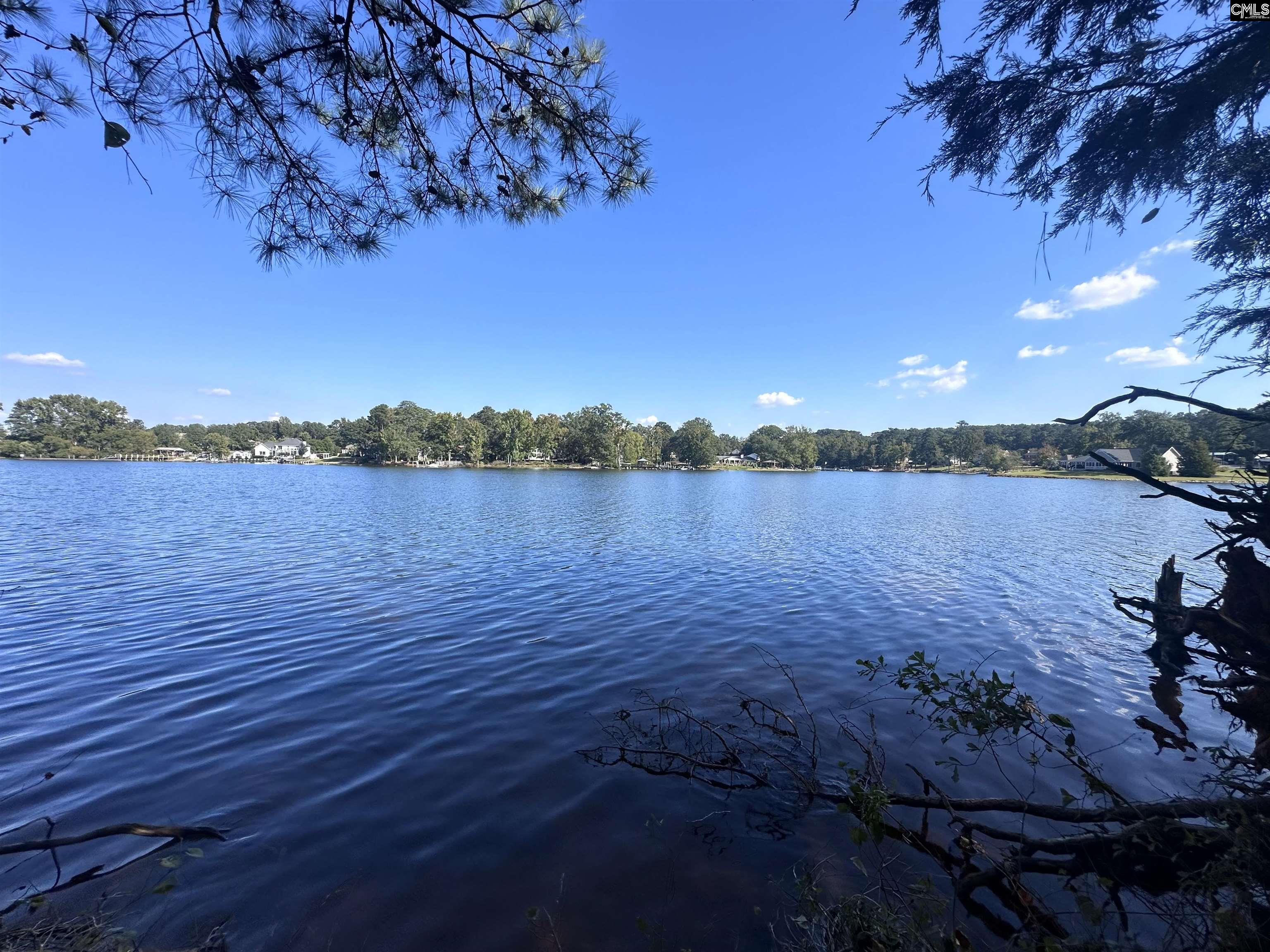Spence Shore Court UNIT LOT 9 Lexington, SC 29072