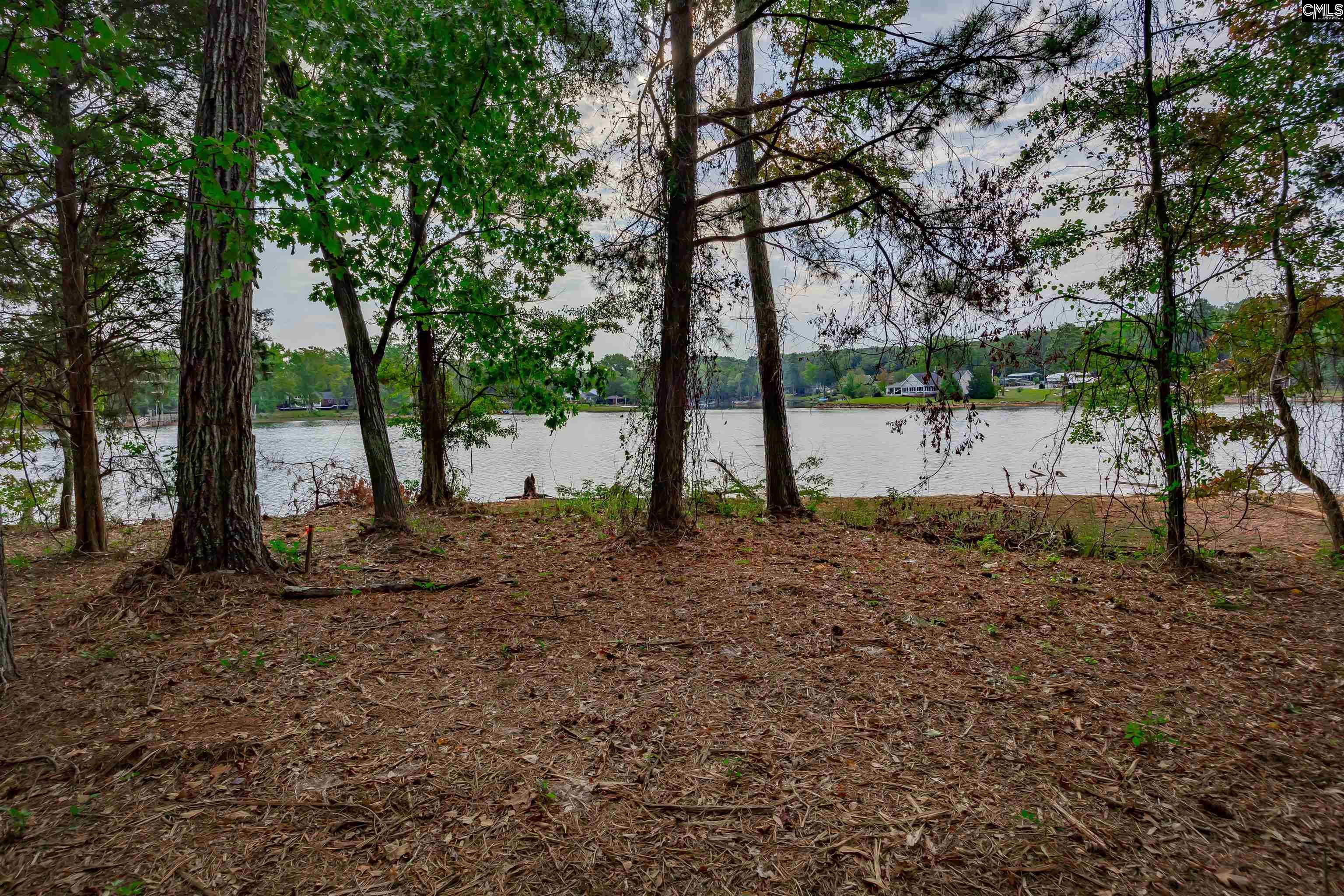 Spence Shore Court UNIT LOT 9 Lexington, SC 29072