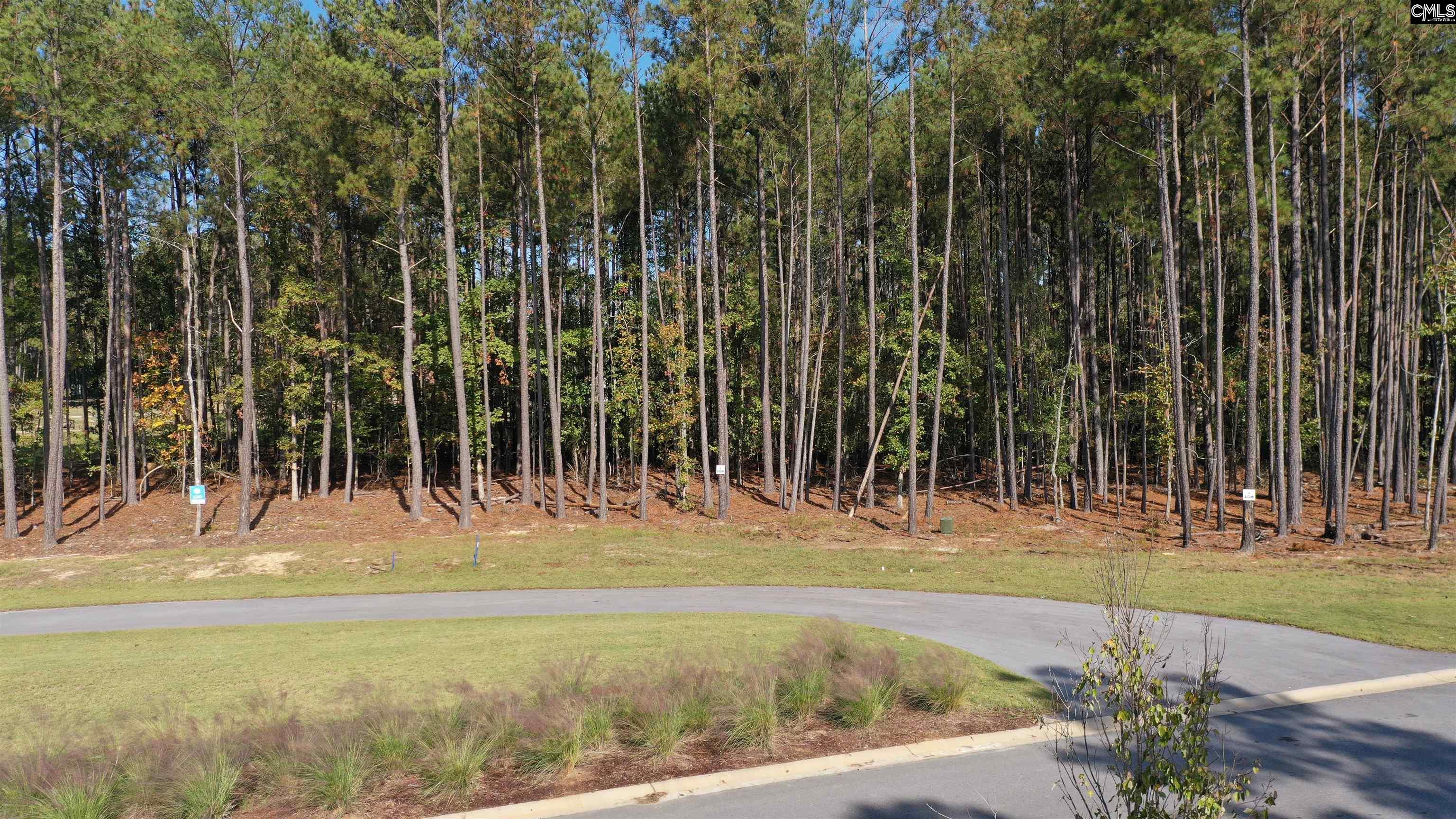 lot 109 Stewart Landing Drive UNIT #109 Prosperity, SC 29127