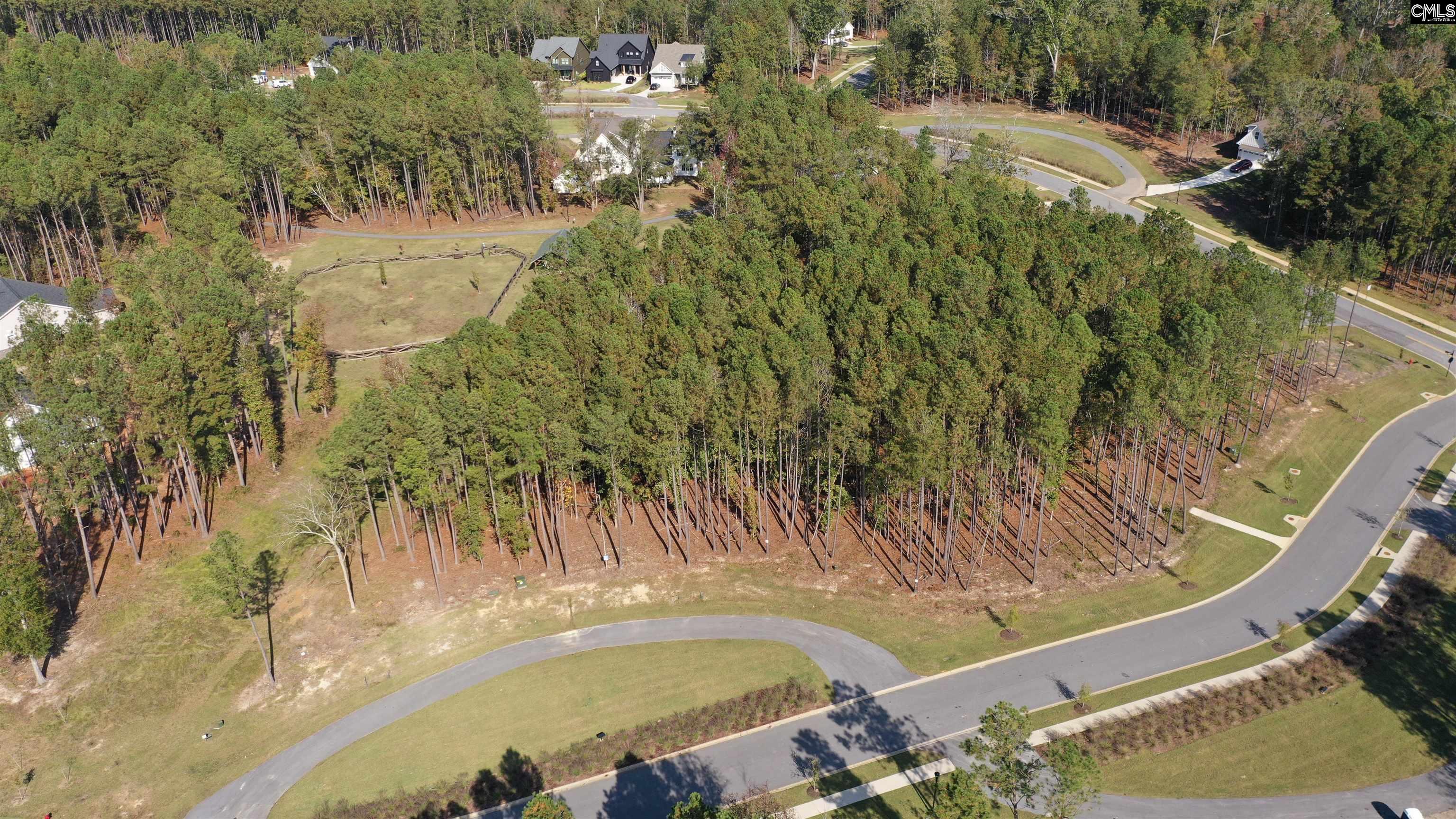 lot 109 Stewart Landing Drive UNIT #109 Prosperity, SC 29127