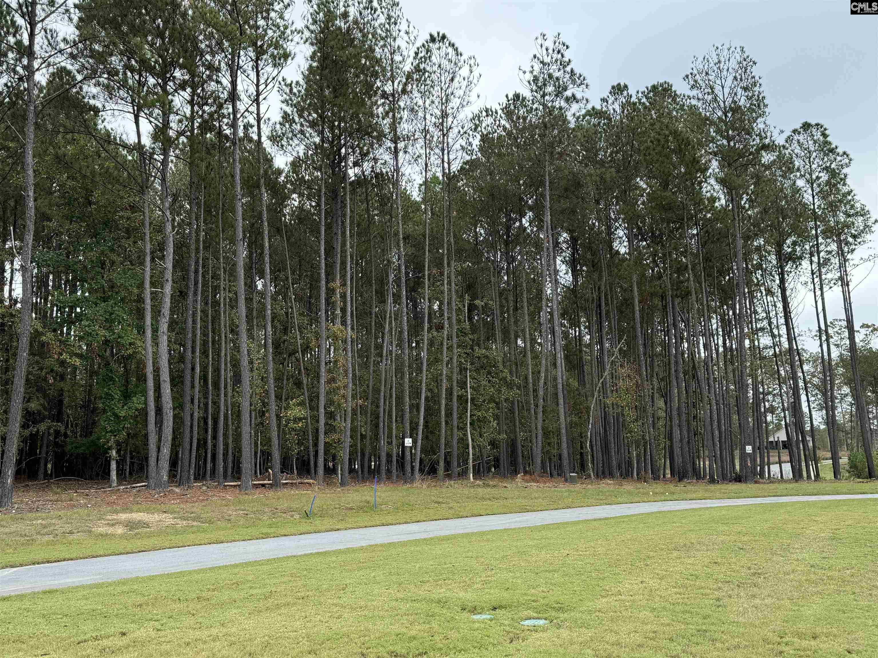 lot 109 Stewart Landing Drive UNIT #109 Prosperity, SC 29127