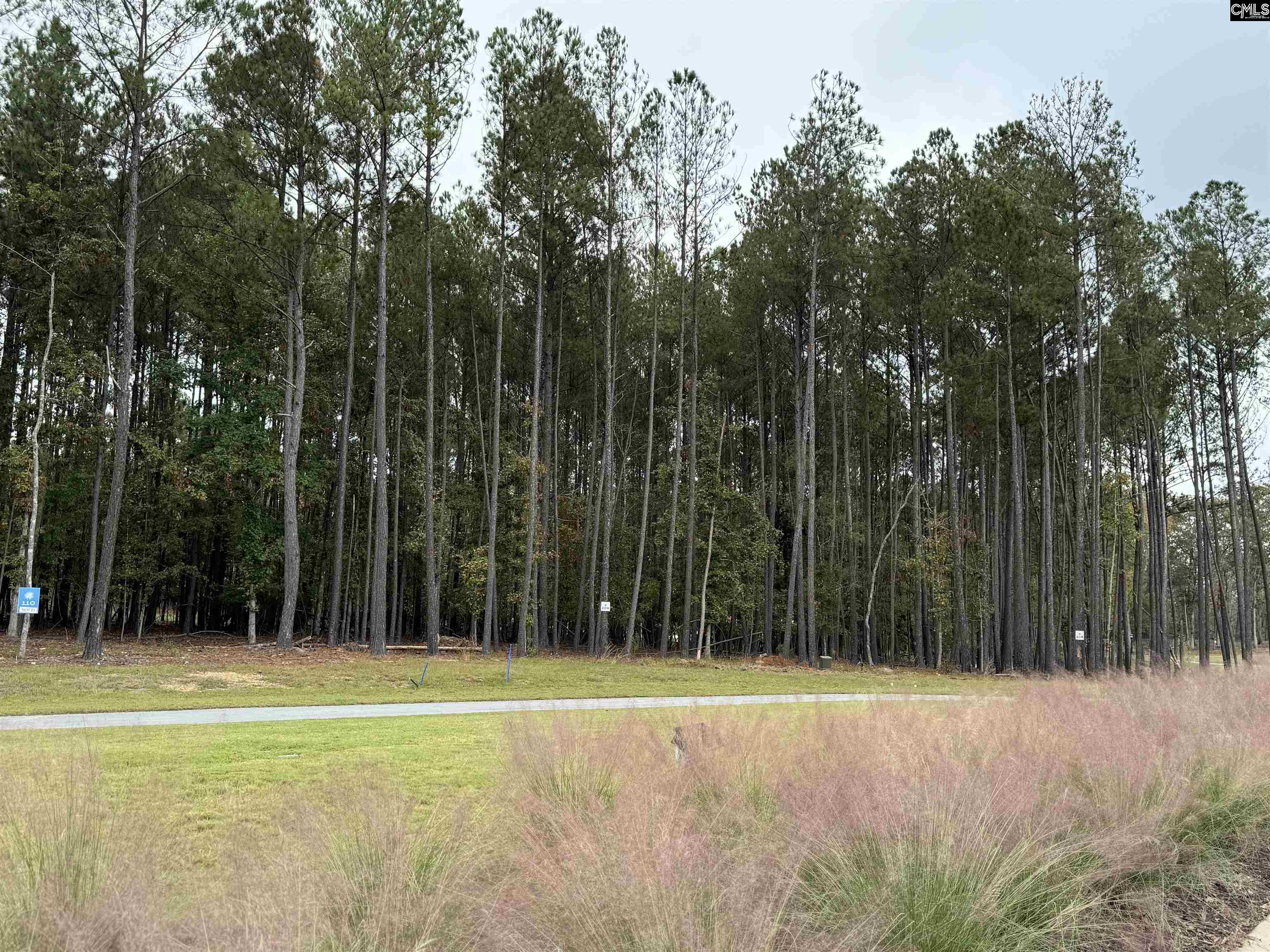 lot 109 Stewart Landing Drive UNIT #109 Prosperity, SC 29127