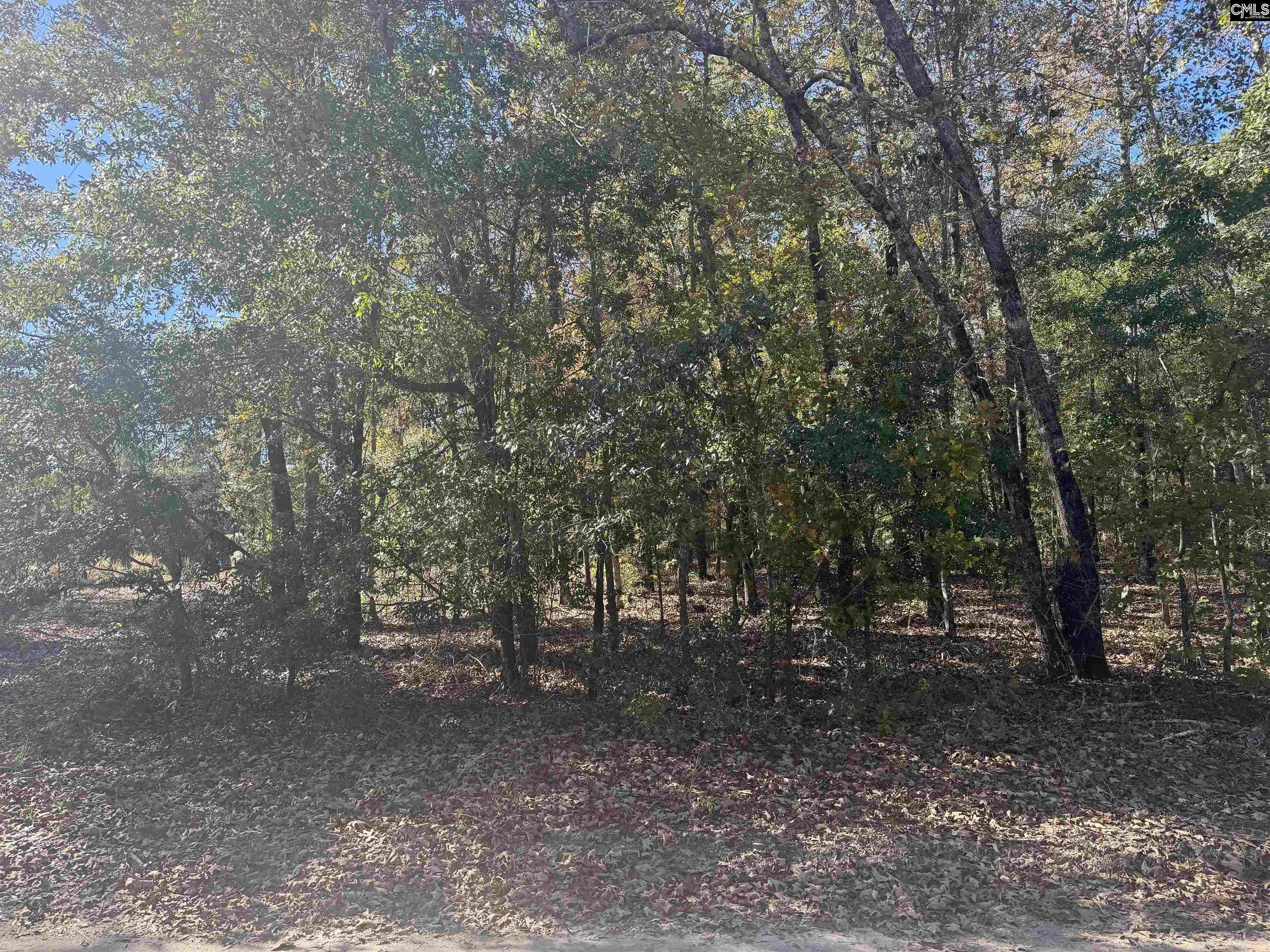 TBD Possum Trail Bamberg, SC 29003