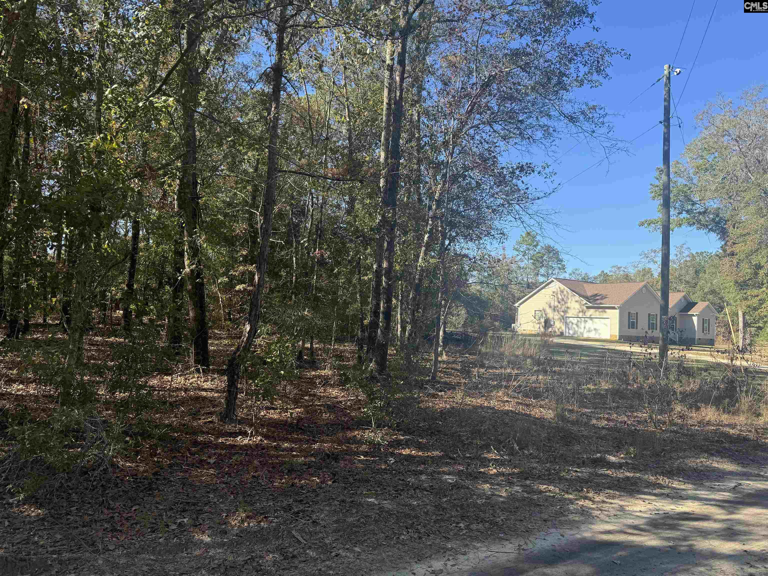 TBD Possum Trail Bamberg, SC 29003