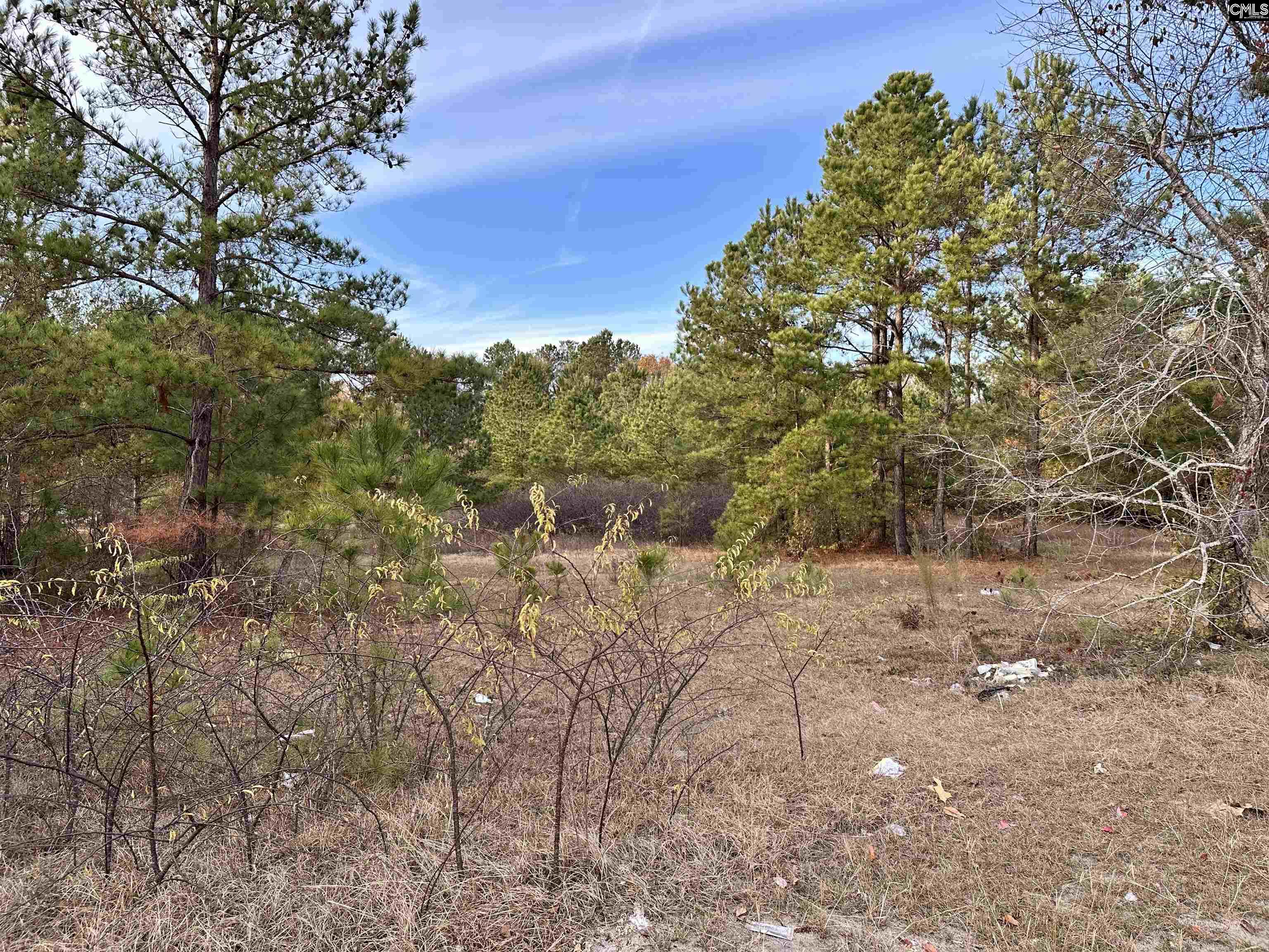 0 Emanuel Church Road, West Columbia — photo 24