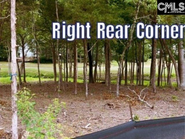 1029 Refuge Place UNIT #23 Chapin, SC 29036