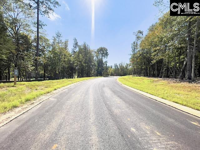 1029 Refuge Place UNIT #23 Chapin, SC 29036