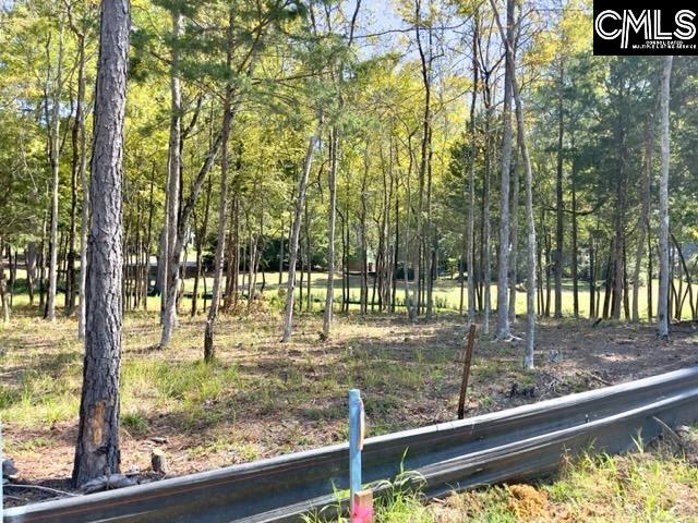 1029 Refuge Place UNIT #23 Chapin, SC 29036
