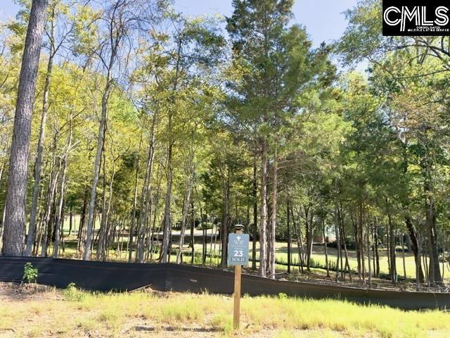 1029 Refuge Place UNIT #23 Chapin, SC 29036