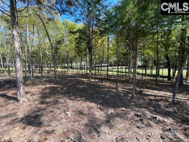 1029 Refuge Place UNIT #23 Chapin, SC 29036