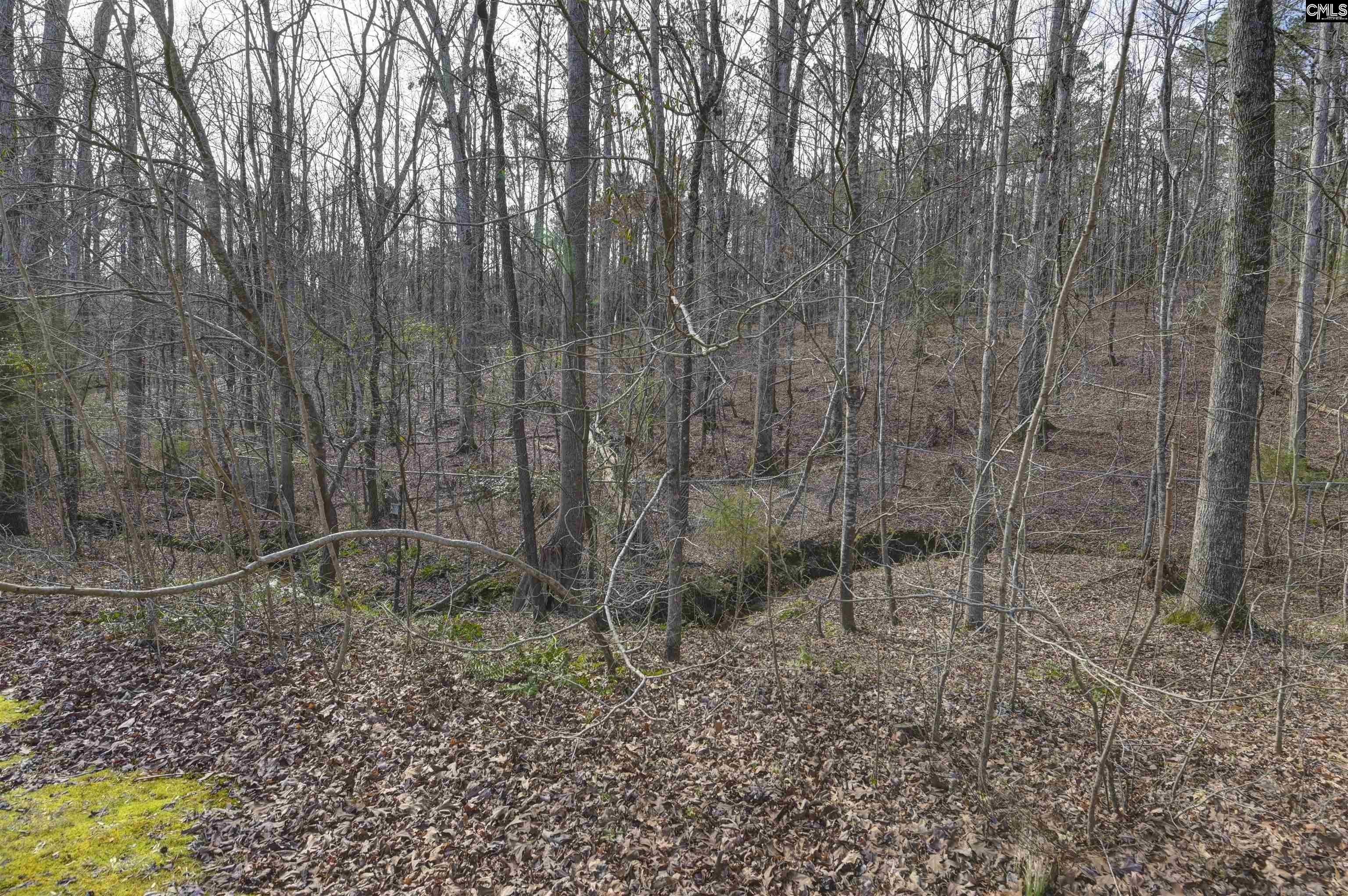 228 Winding Oak Way Blythewood, SC 29016