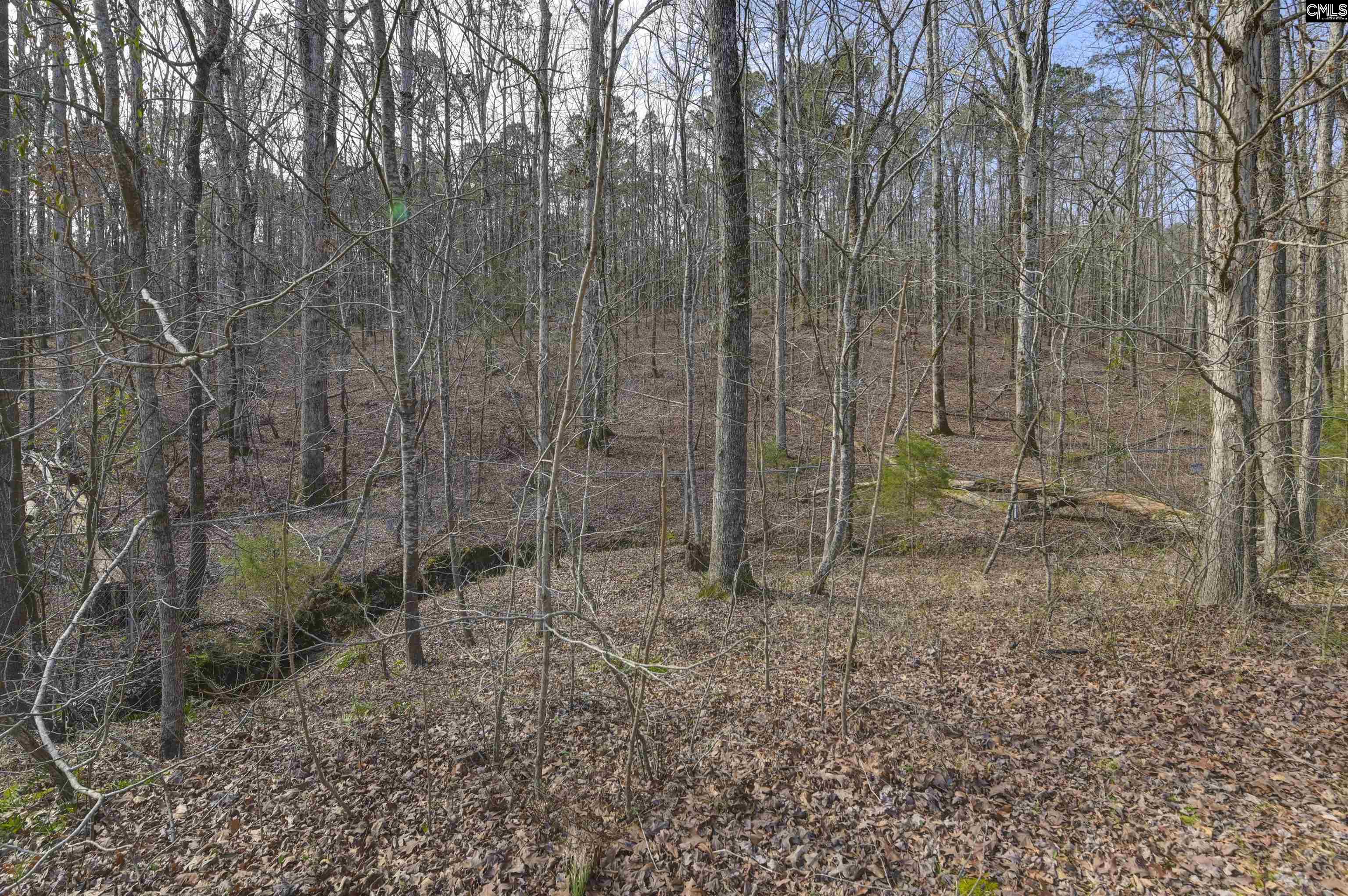 228 Winding Oak Way Blythewood, SC 29016
