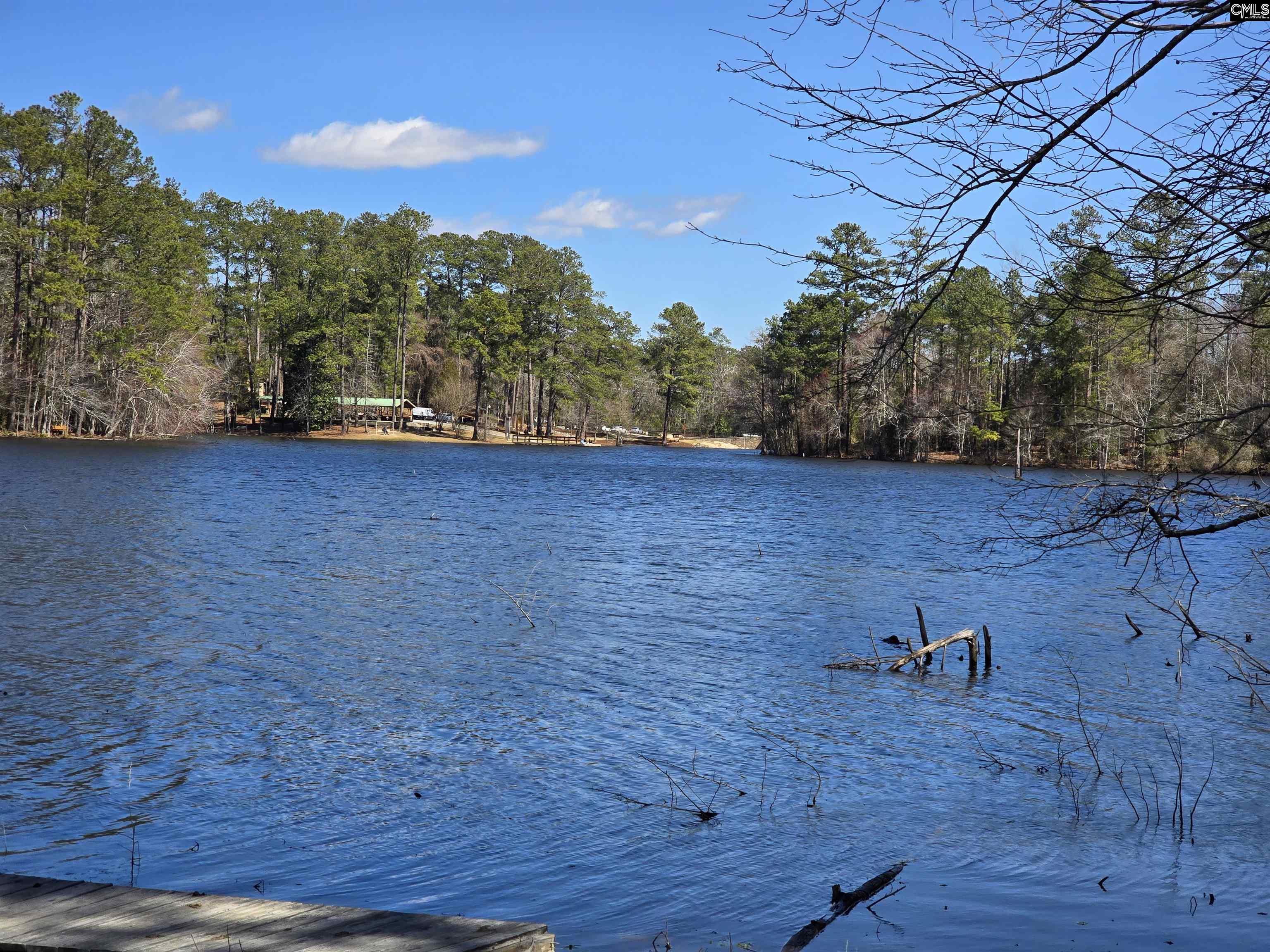 186 Zenker Road Lexington, SC 29072