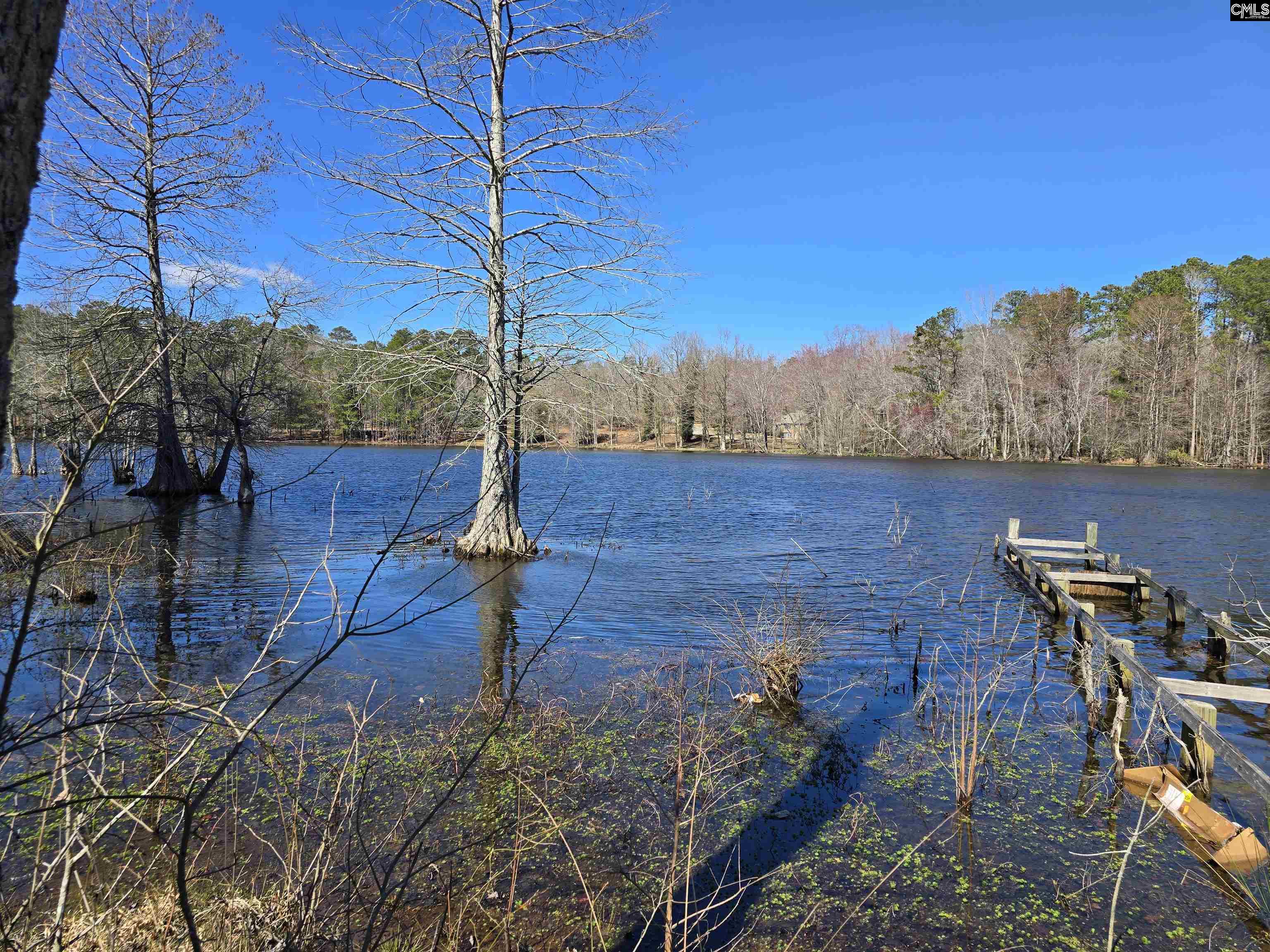 186 Zenker Road Lexington, SC 29072