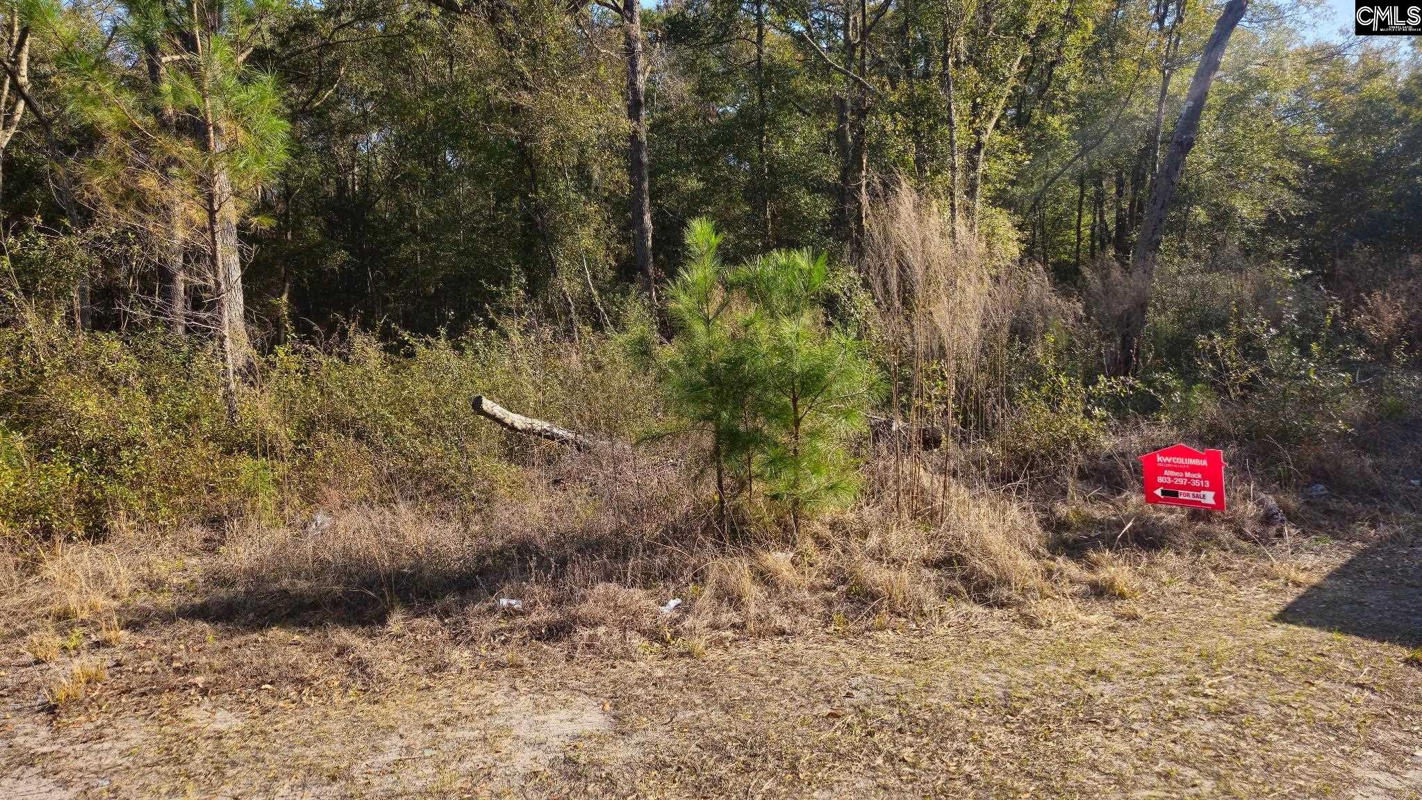 37 Levant Byas Road UNIT #25 Saint Helena Island, SC 29920