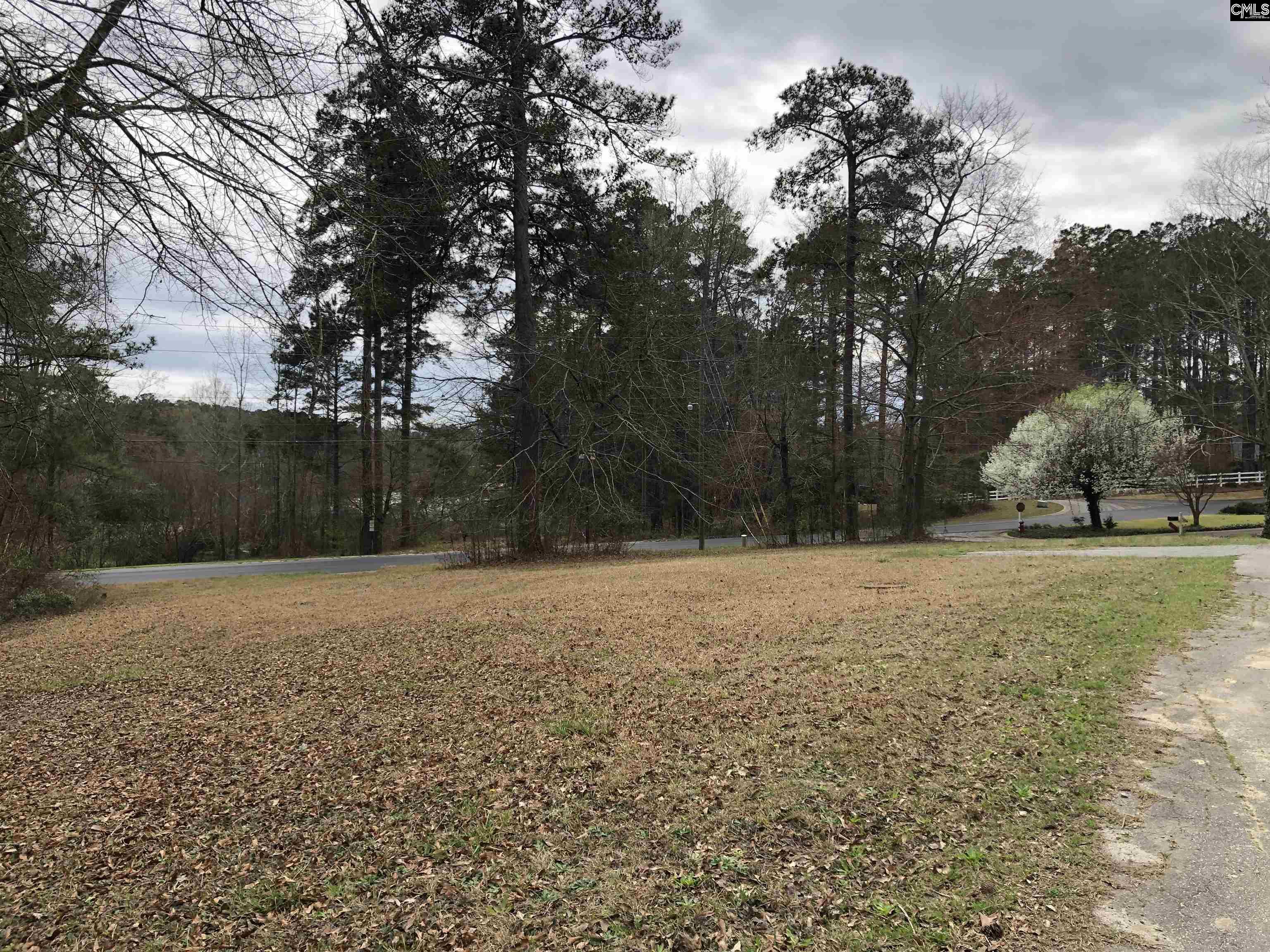 6 Fairway Ln, Blythewood — photo 3