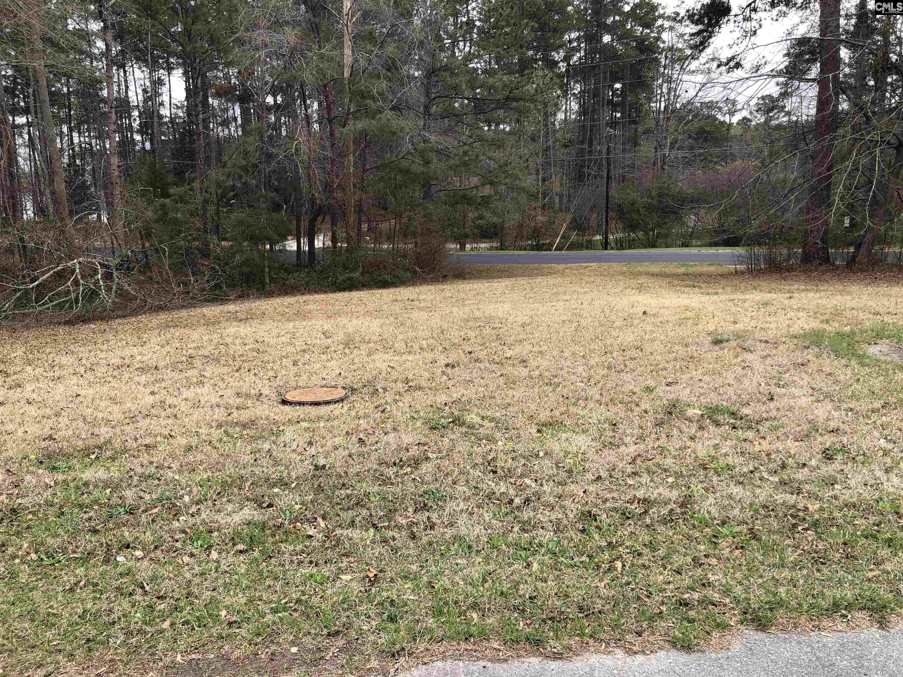 8 Fairway Ln, Blythewood — photo 3