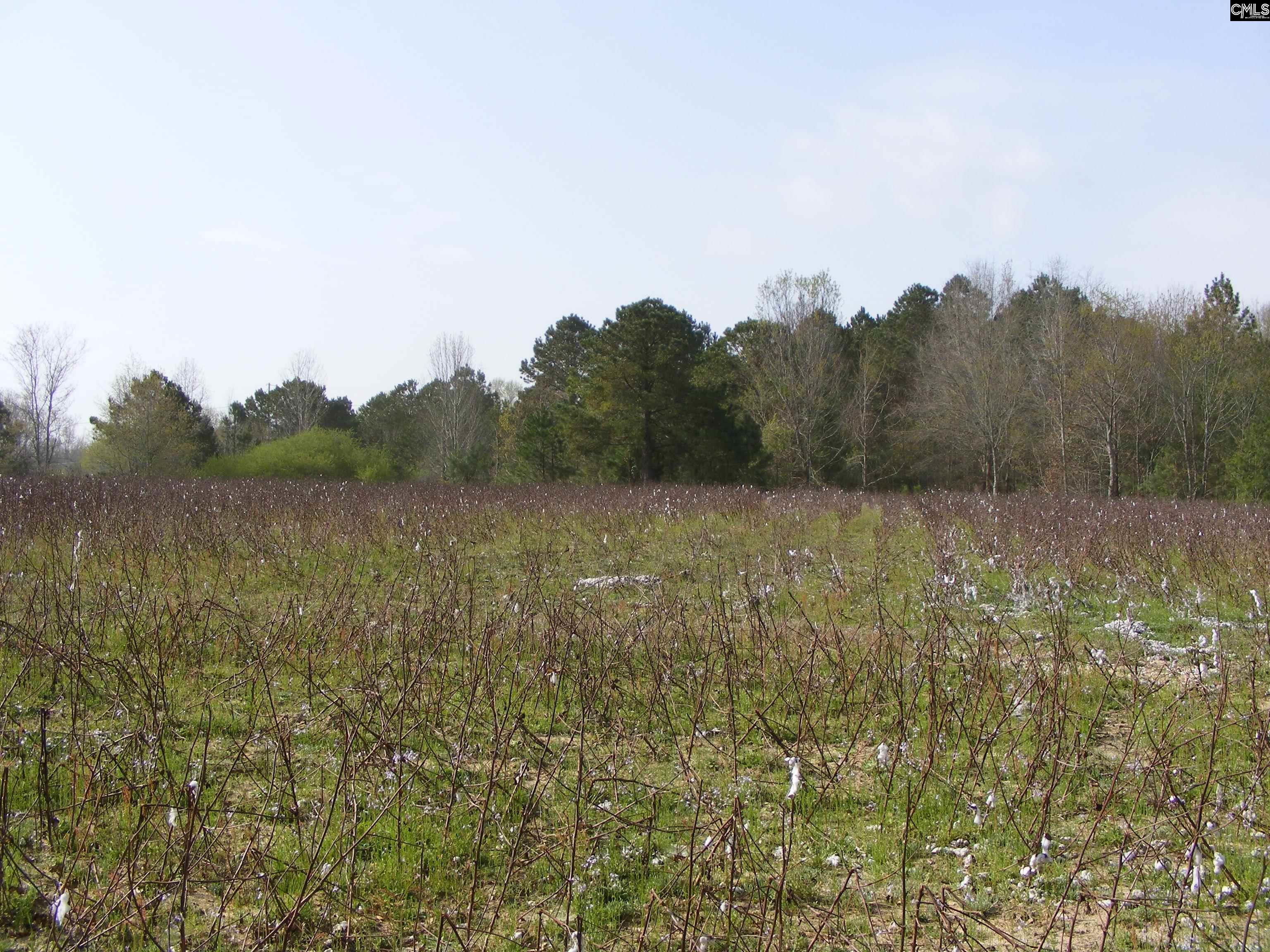 00 Dr Boylston Road Salley, SC 29137