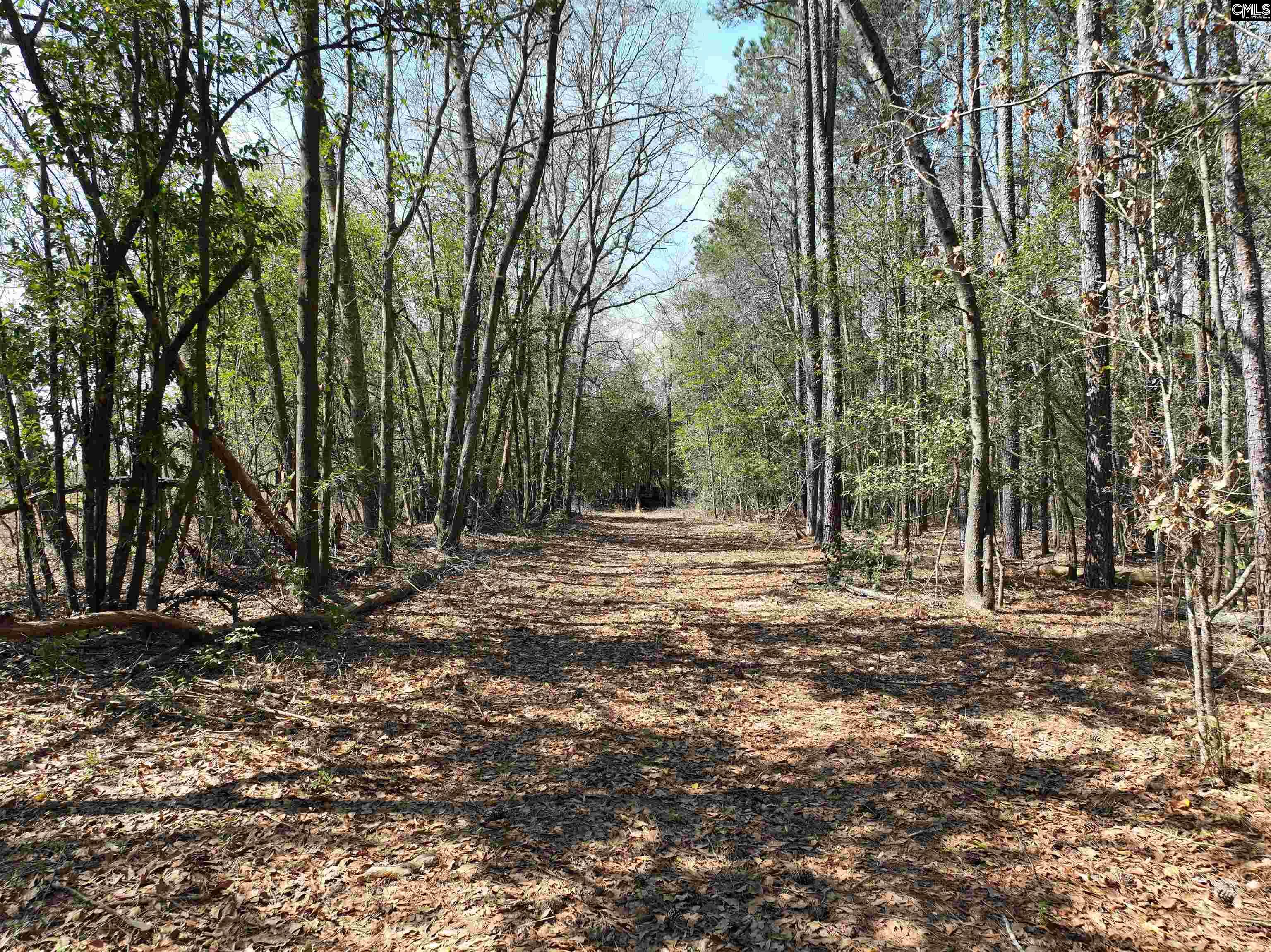 00 Dr Boylston Road Salley, SC 29137