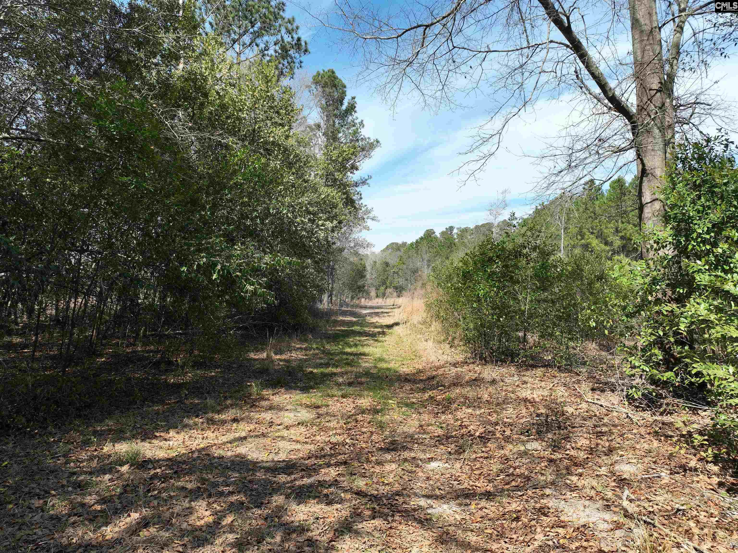 00 Dr Boylston Road Salley, SC 29137