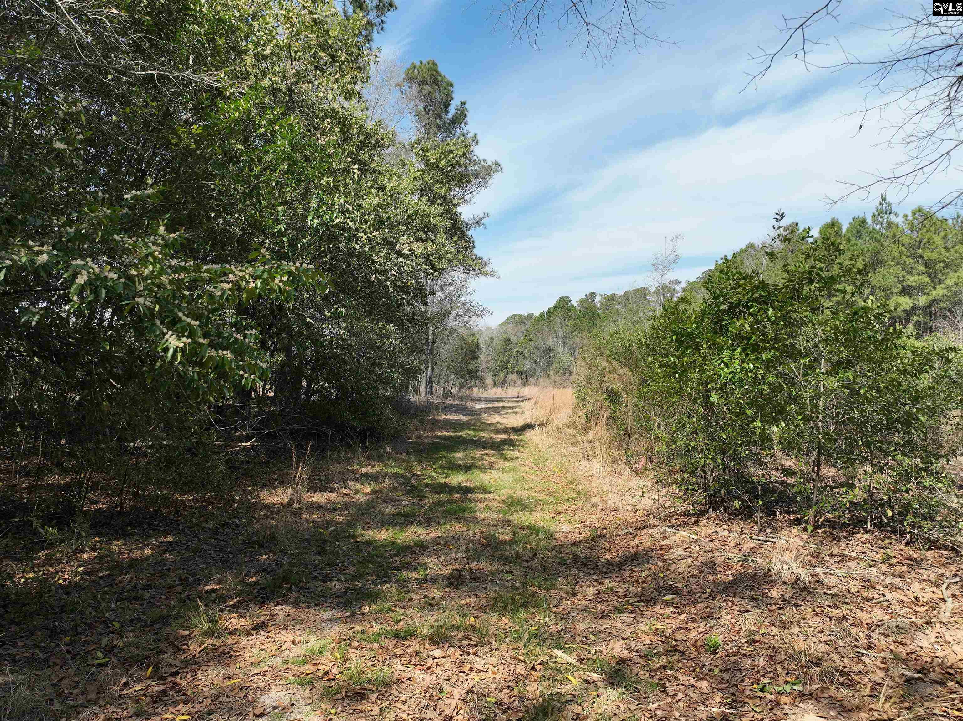 00 Dr Boylston Road Salley, SC 29137