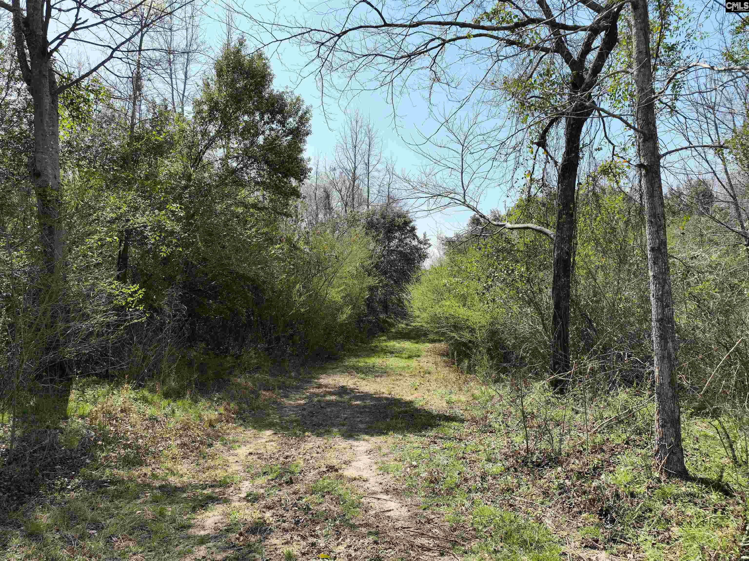 00 Dr Boylston Road Salley, SC 29137